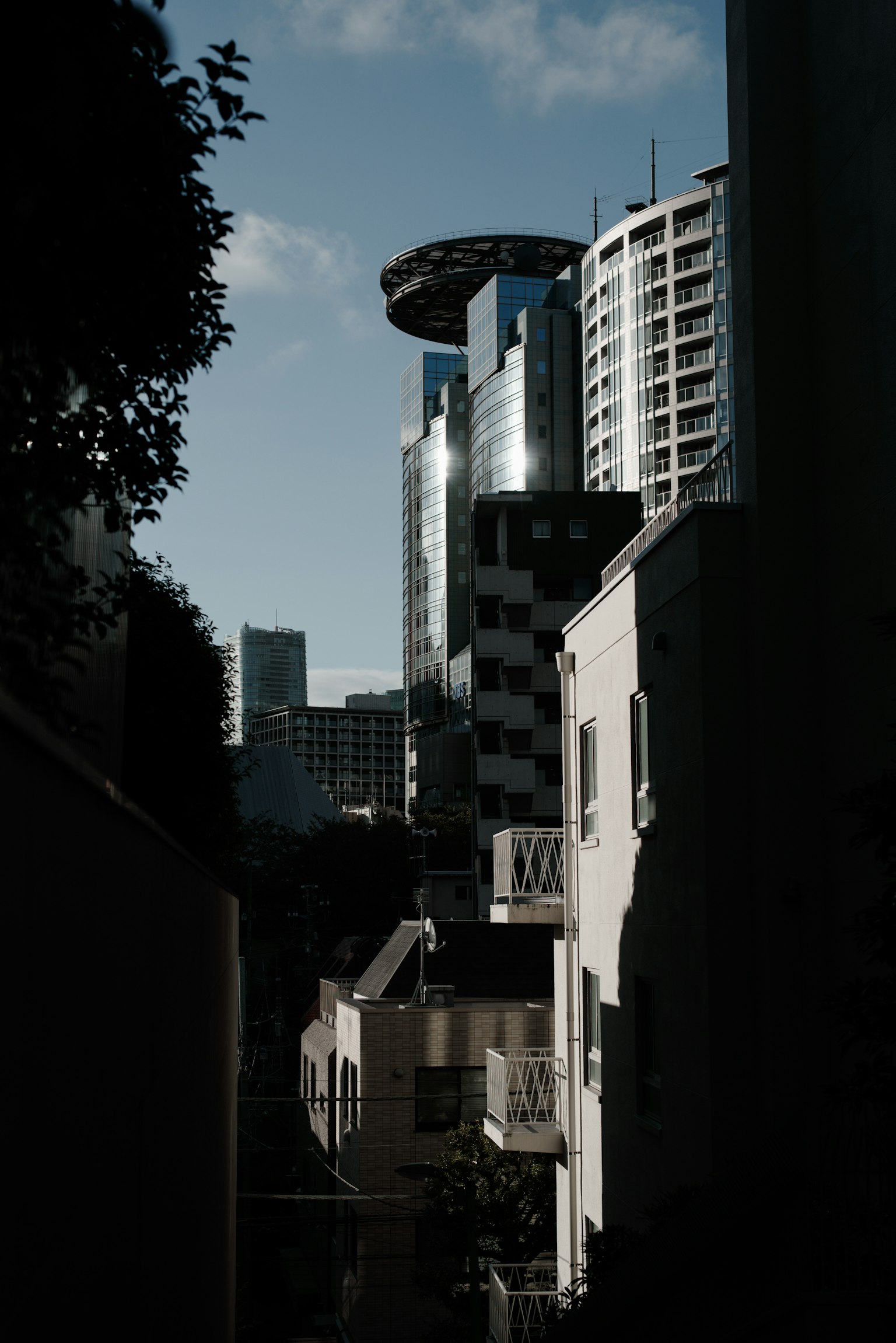 Contraste entre des immeubles de grande hauteur et des maisons résidentielles dans un paysage urbain