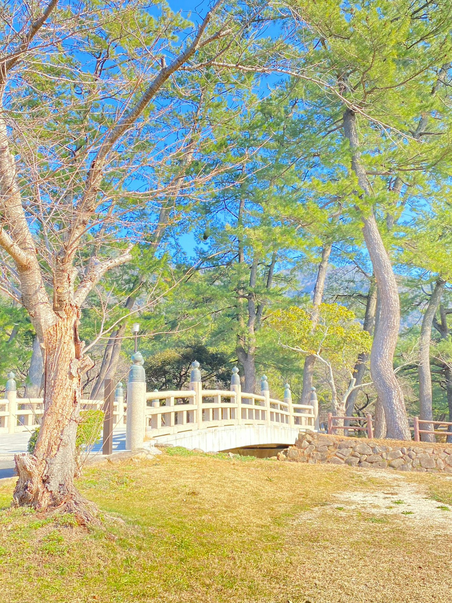 Vista escénica de un puente blanco bajo un cielo azul y árboles verdes