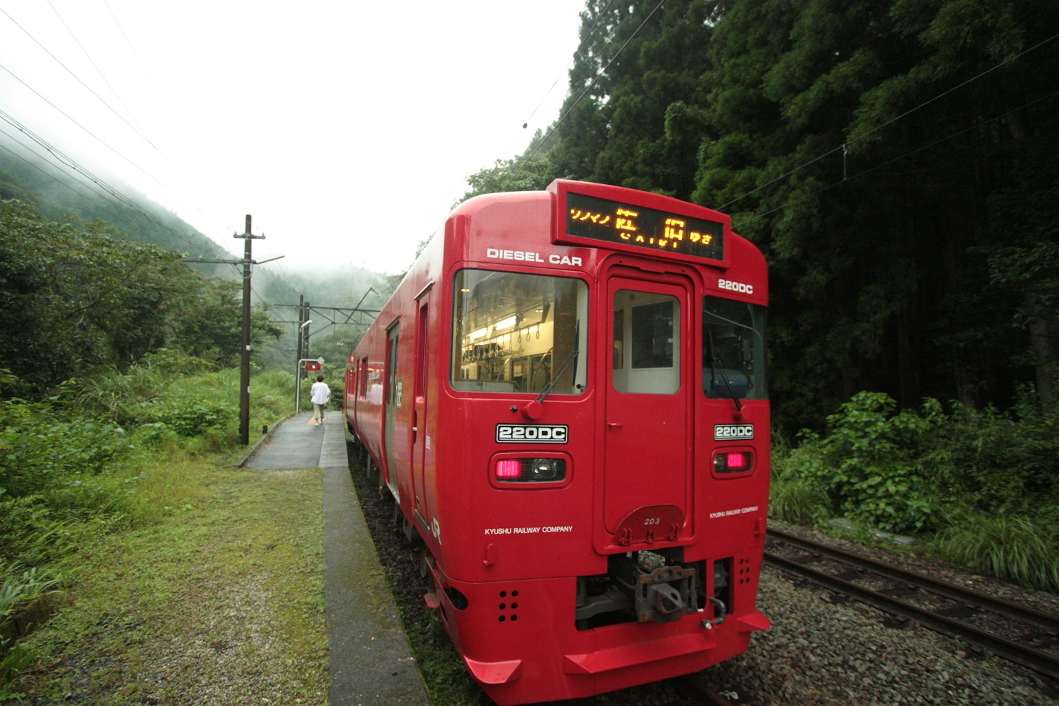 รถไฟสีแดงหยุดอยู่บนรางที่มีต้นไม้เขียวขจีล้อมรอบ