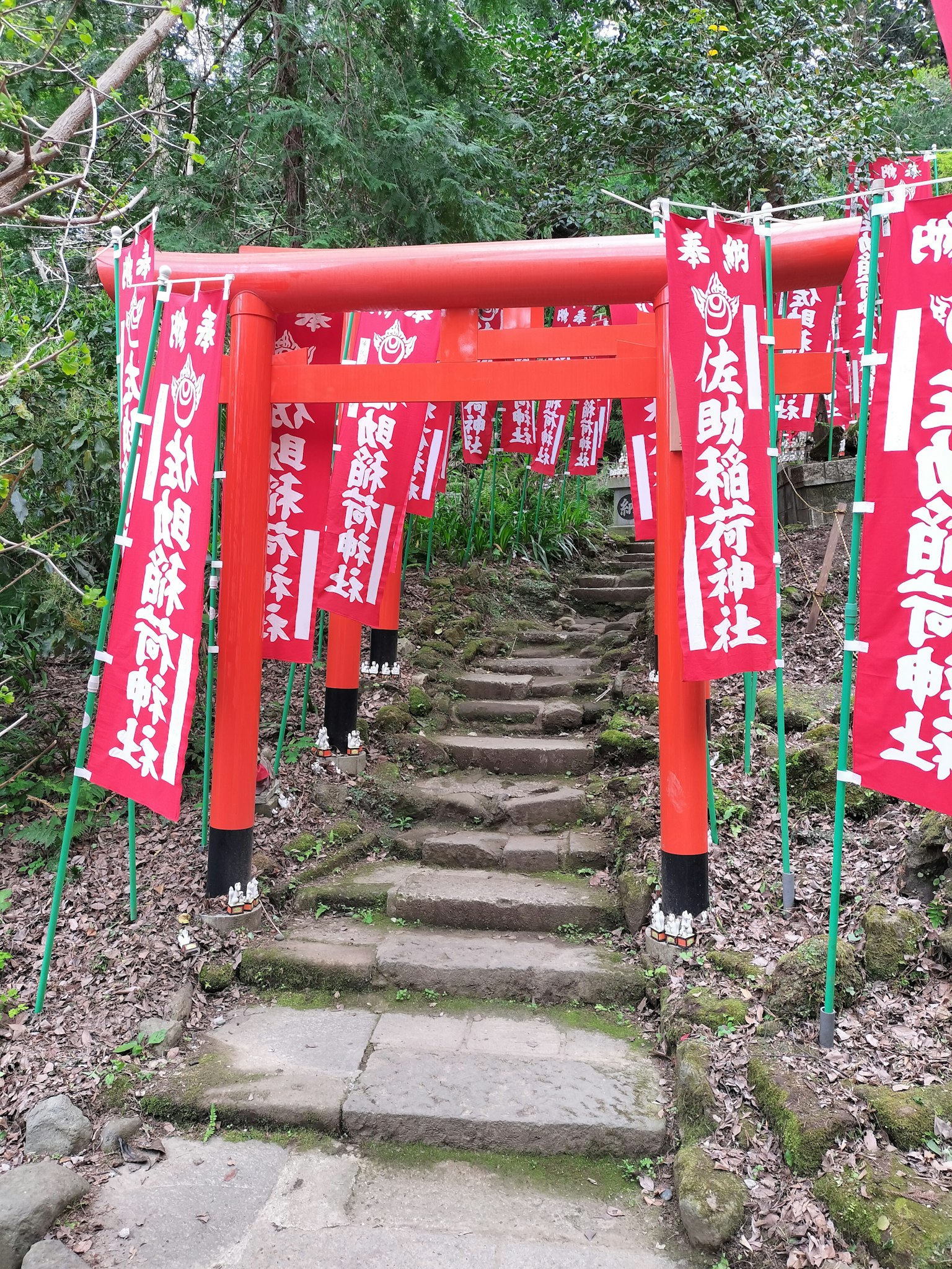 Un sentiero fiancheggiato da torii rossi e scalini di pietra che conducono a un santuario