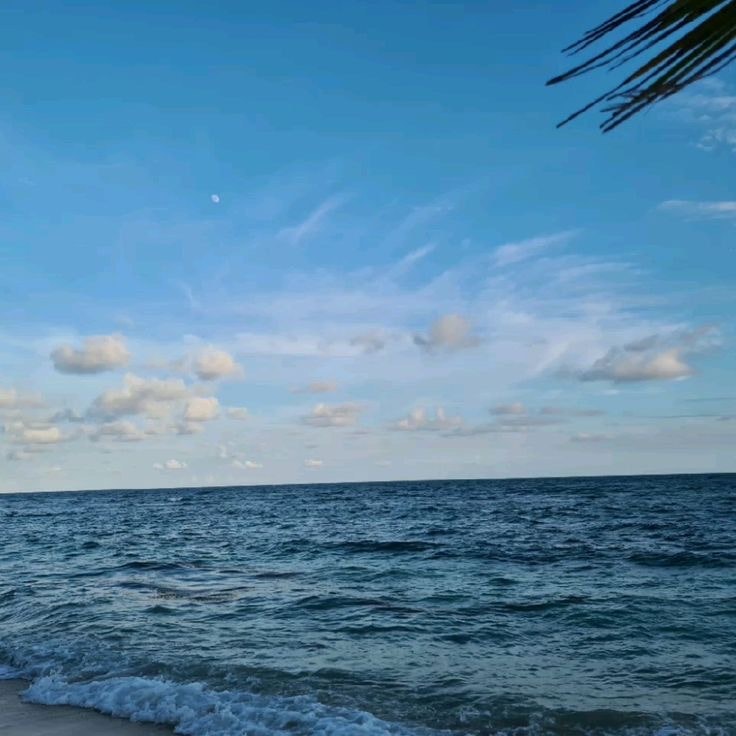 水平線まで広がる海と青い空の風景