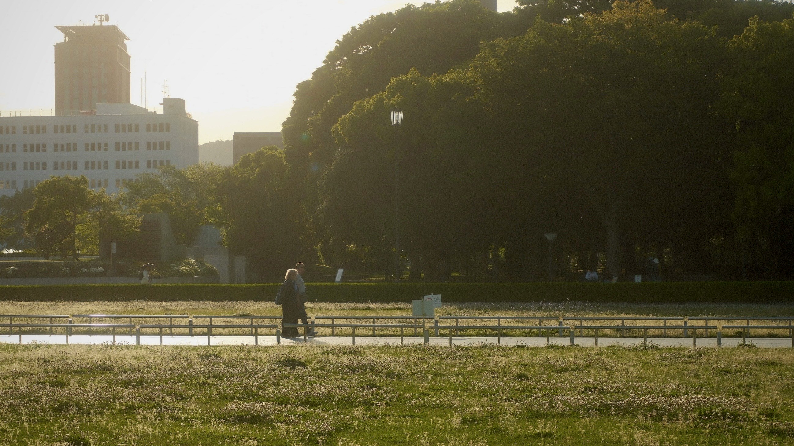 公園の芝生と木々の並ぶ散歩道、夕方の光