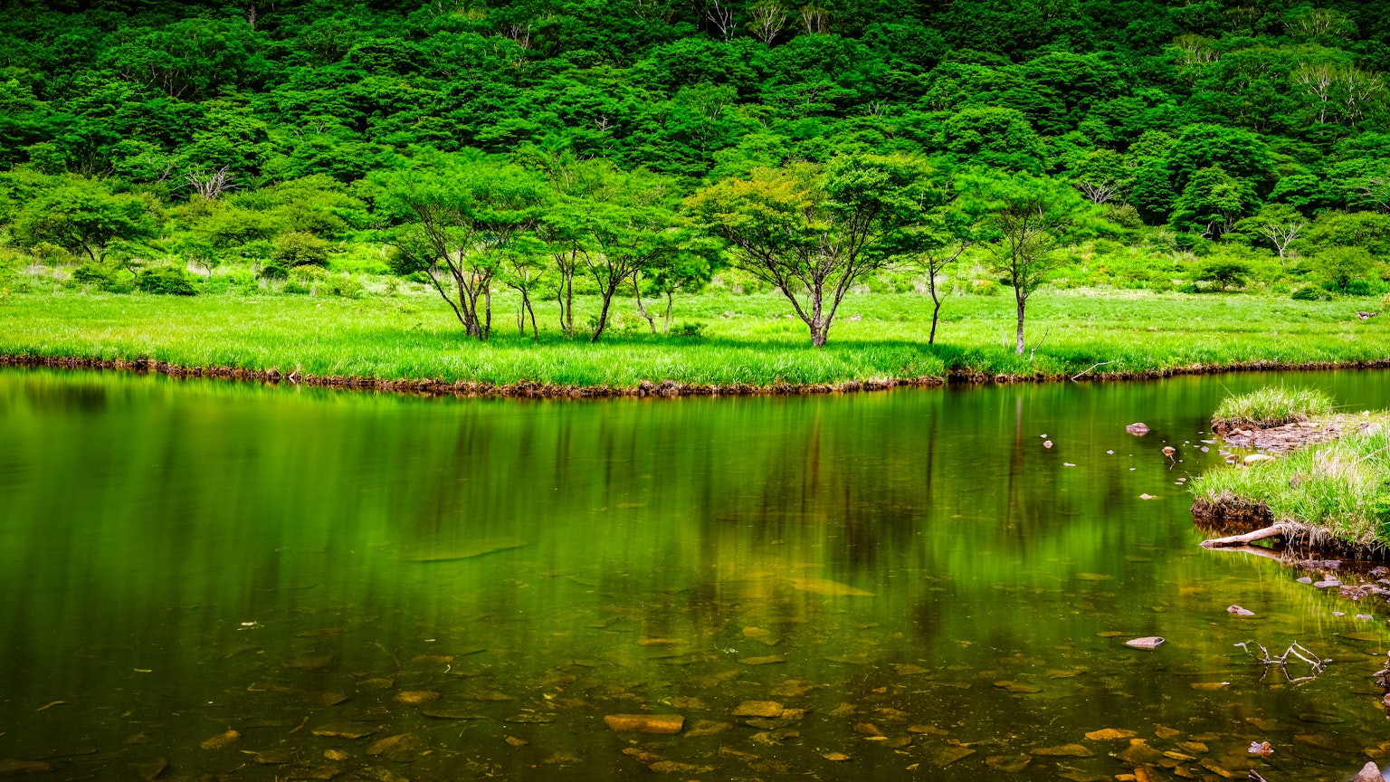 photo-REqTUhcXpcfrNku2JjQ5-image