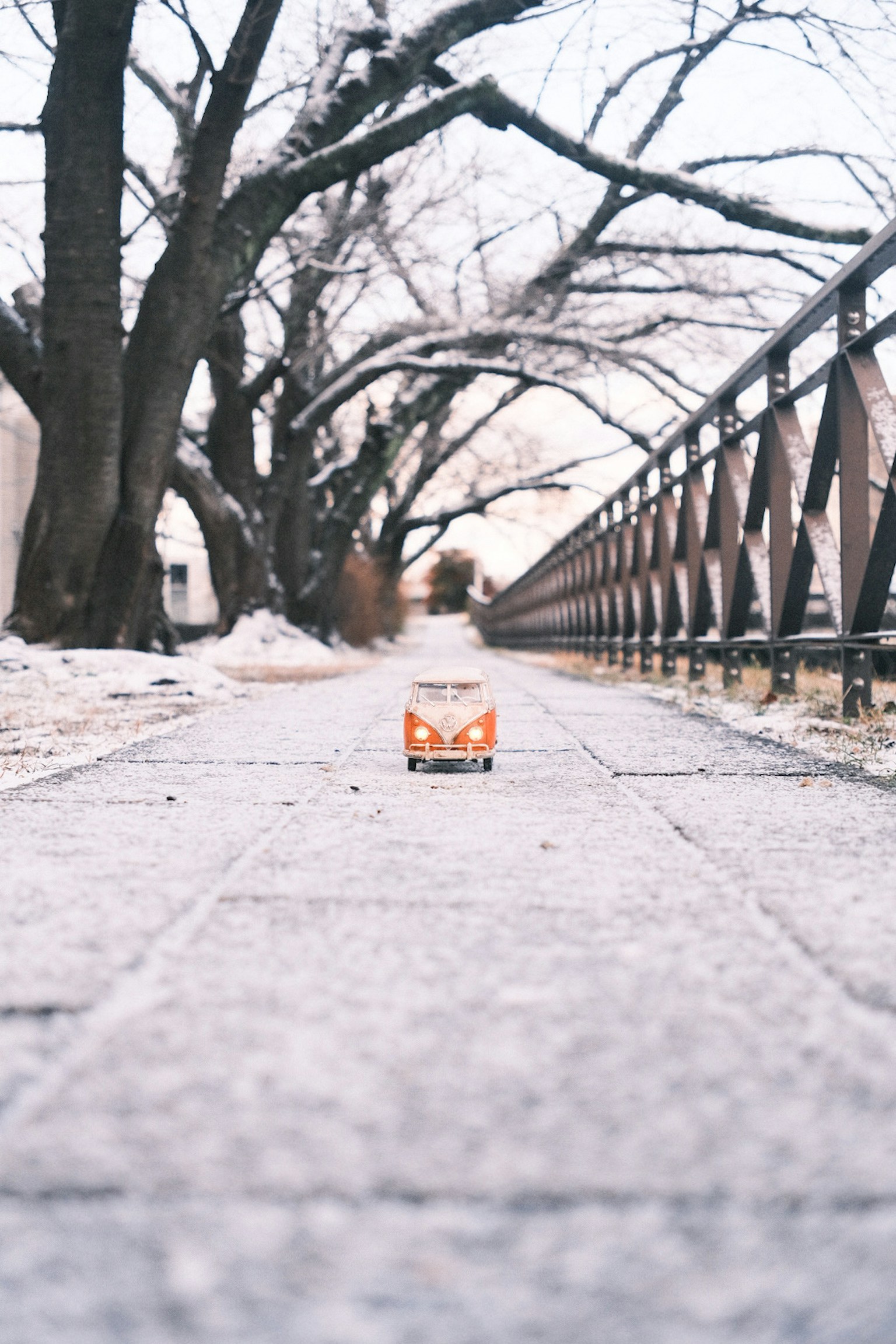 被雪覆盖的小路，旁边有树和栅栏