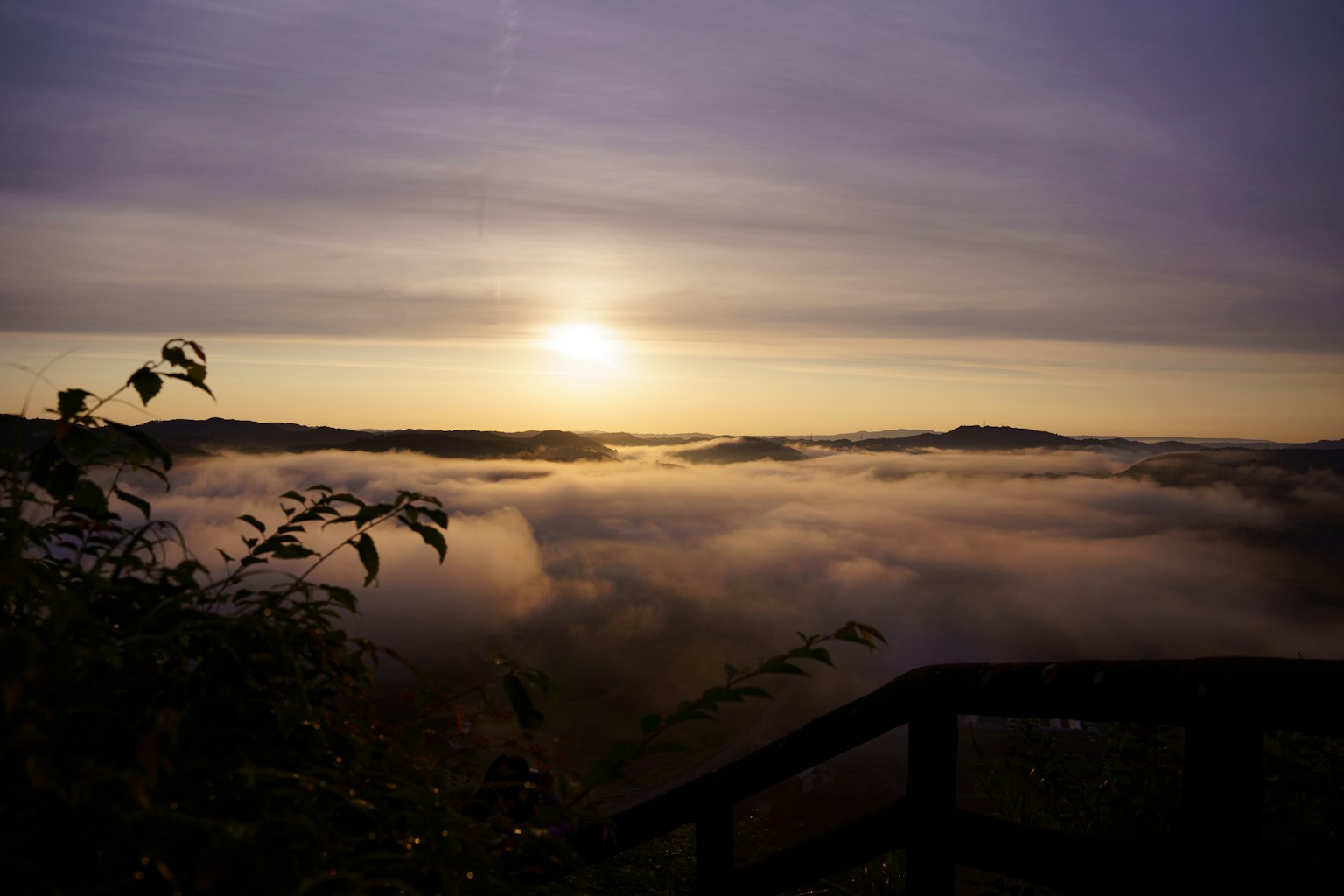 Paisaje envuelto en niebla con amanecer y follaje