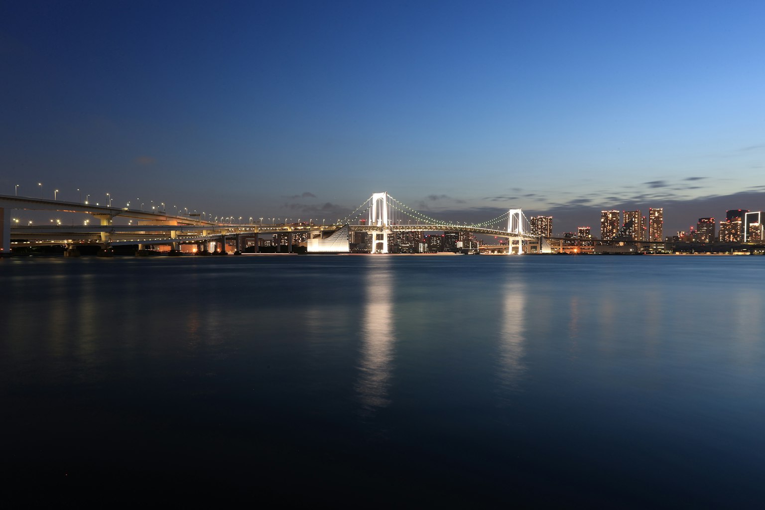 夜晚彩虹桥和东京天际线的美丽景色