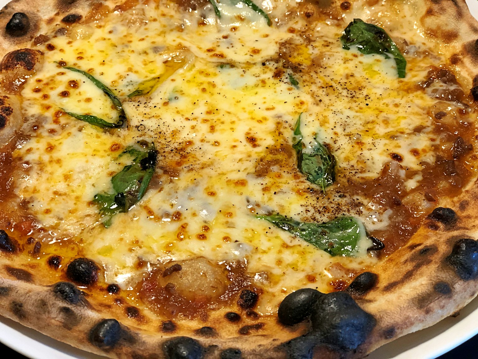 Pizza avec croûte carbonisée et garnitures de fromage fondu