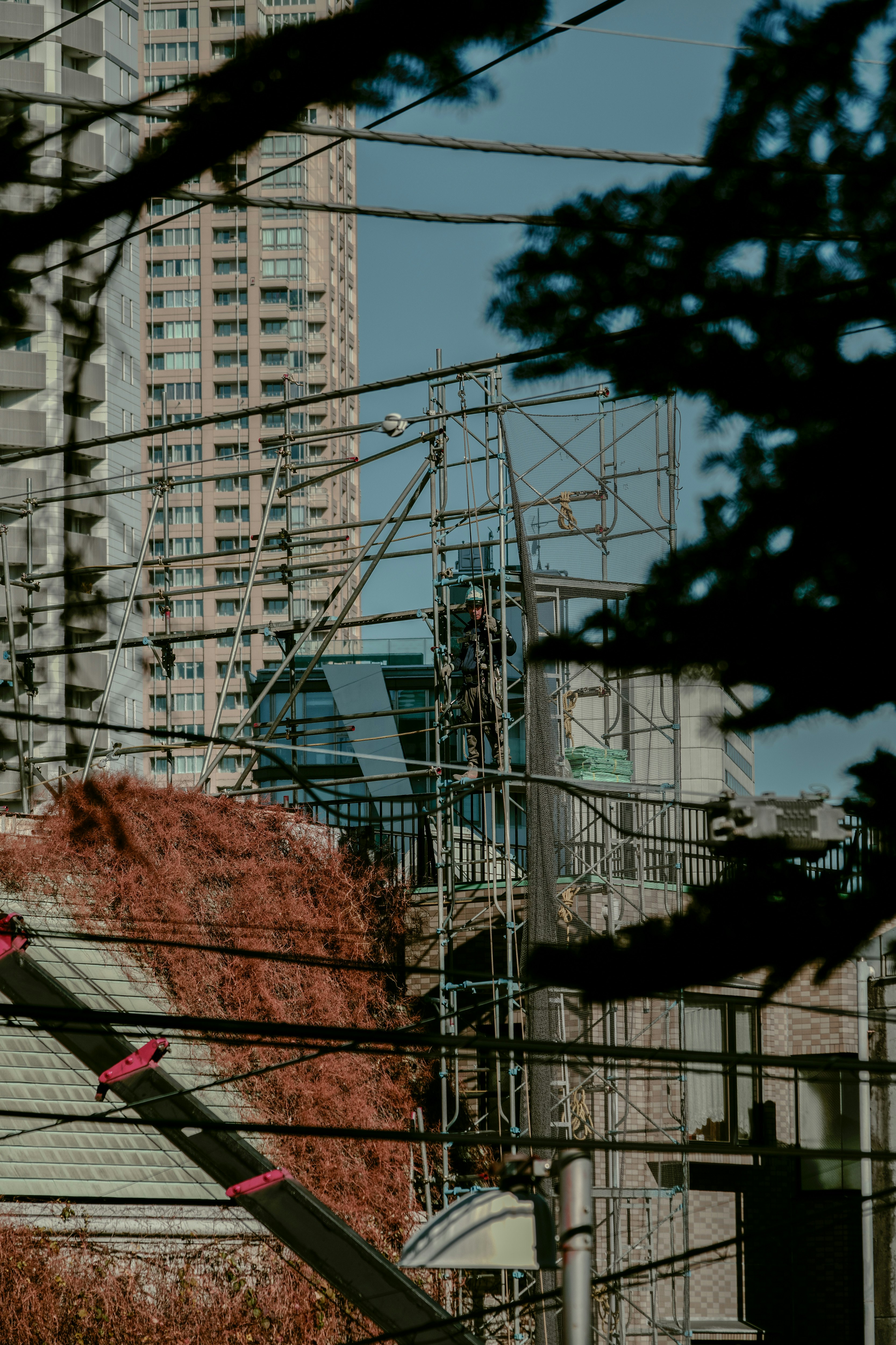 高層マンションと電線が交差する都市の風景
