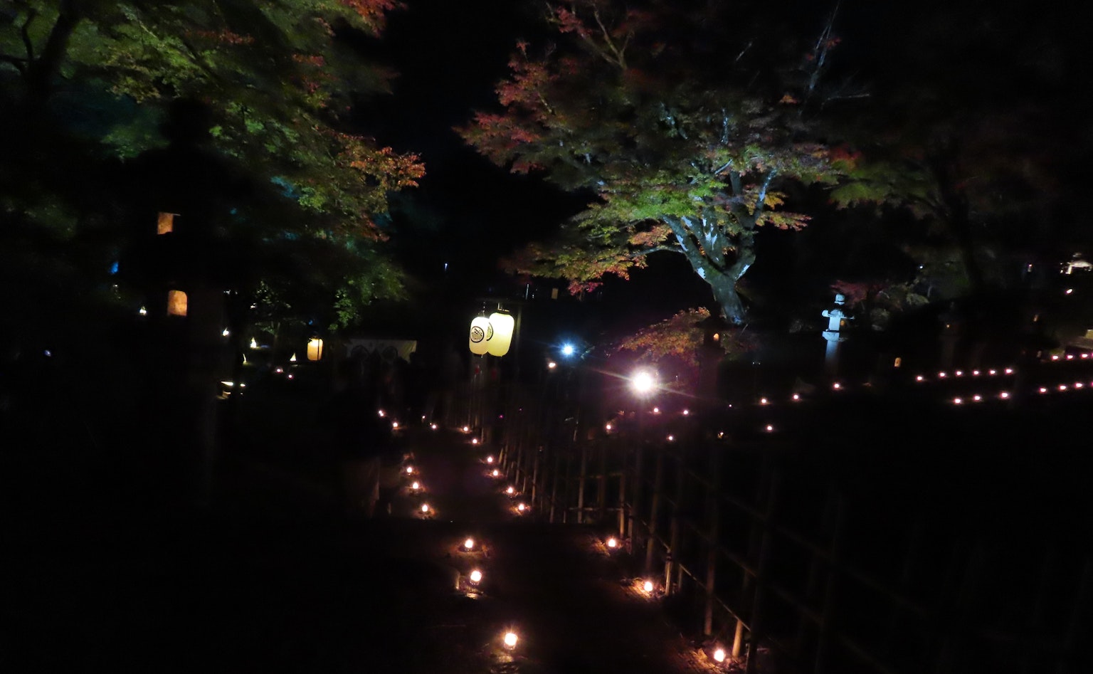 A serene garden at night illuminated by lanterns and candles creating a magical atmosphere