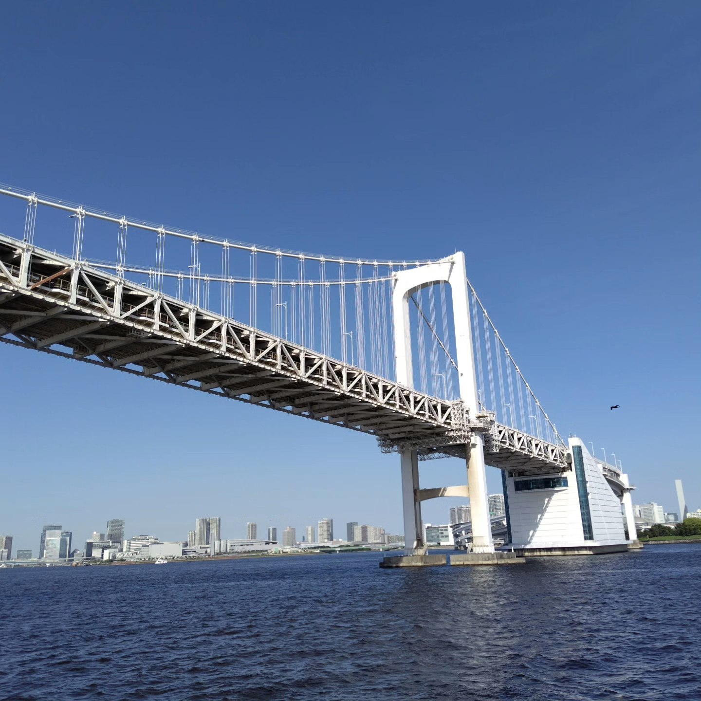 Il Rainbow Bridge sul mare sotto un cielo azzurro