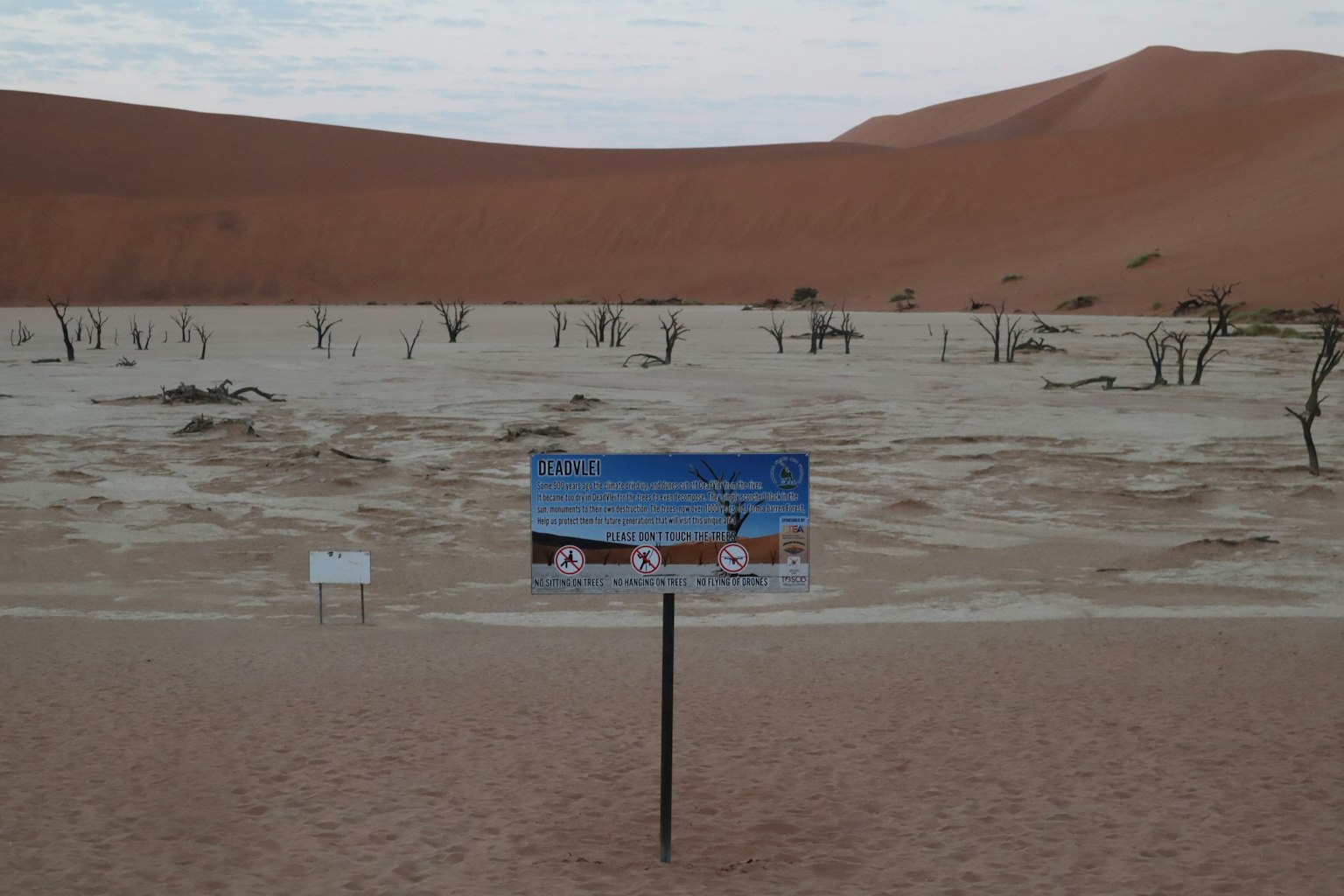 Tanda di Deadvlei Namibia dengan bukit pasir di latar belakang