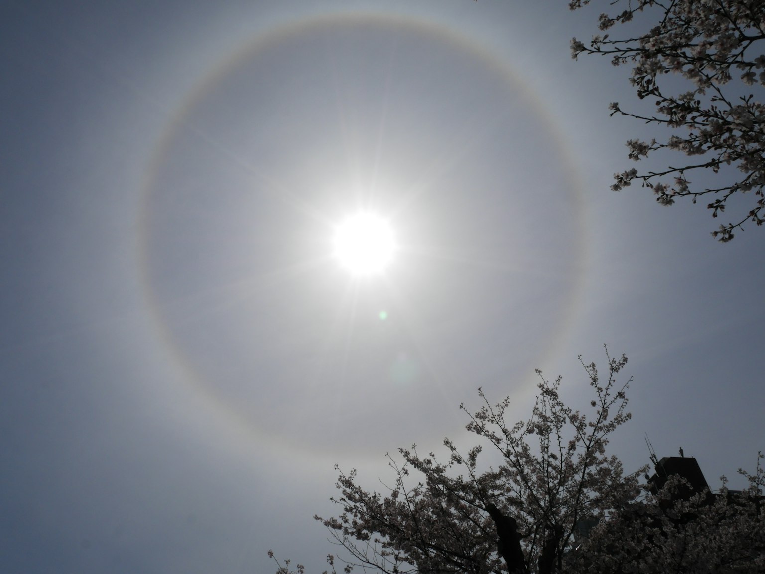 Schöne Himmelansicht mit einem Halo um die Sonne