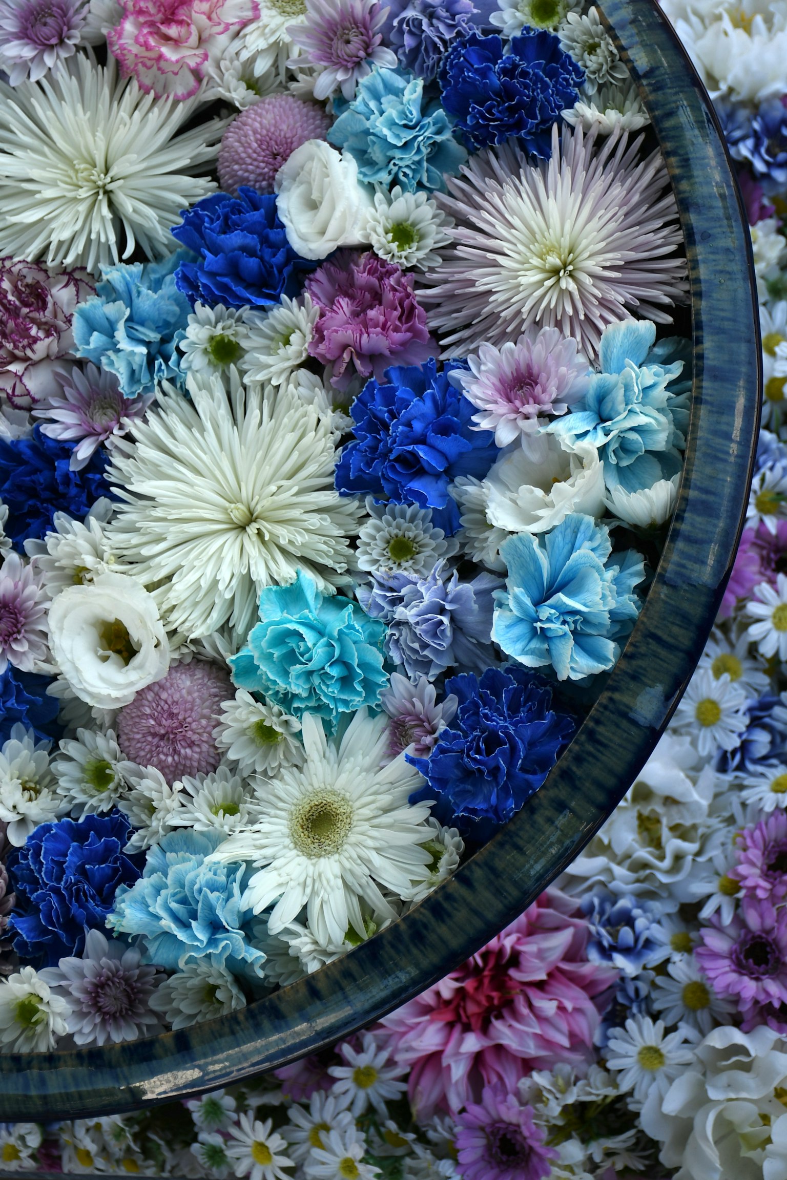 Vista aerea di una ciotola piena di fiori galleggianti colorati