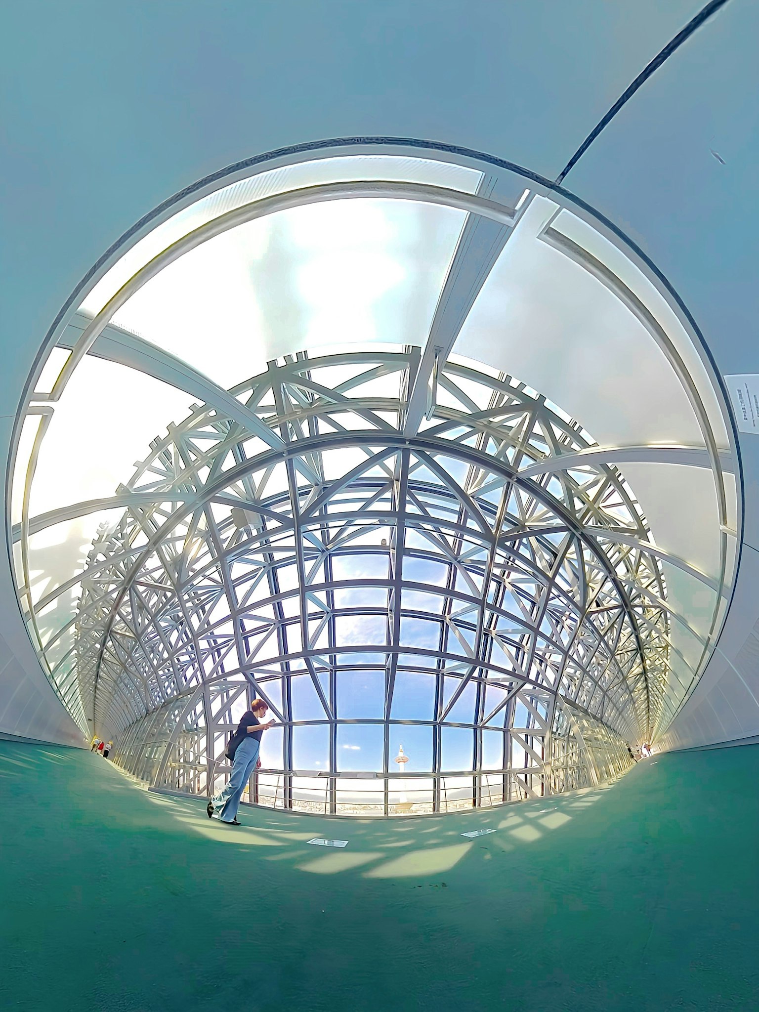 Interno di una cupola trasparente che mostra la sua struttura e il cielo blu