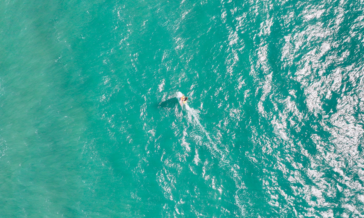 Surfer auf türkisblauen Ozeanwellen