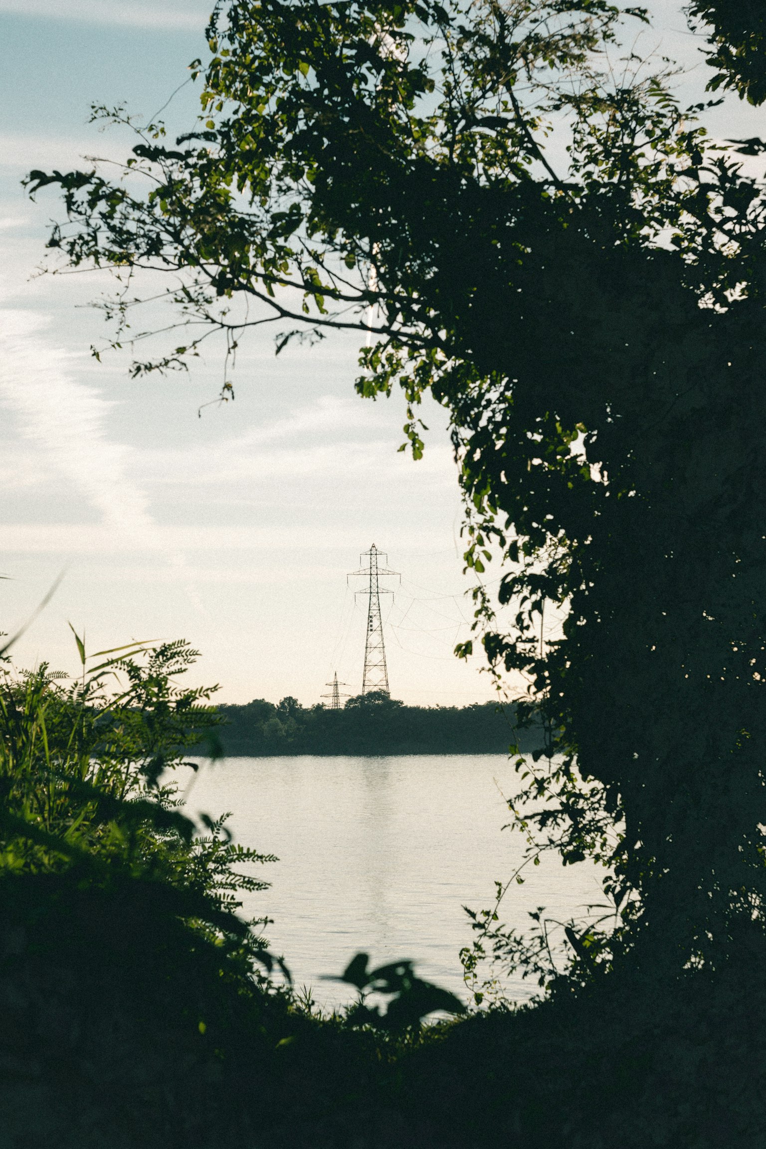 Feuillage vert encadrant une tour de ligne électrique près d'un lac
