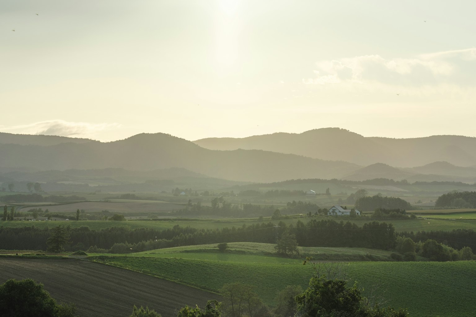 A serene landscape with rolling green fields and misty mountains