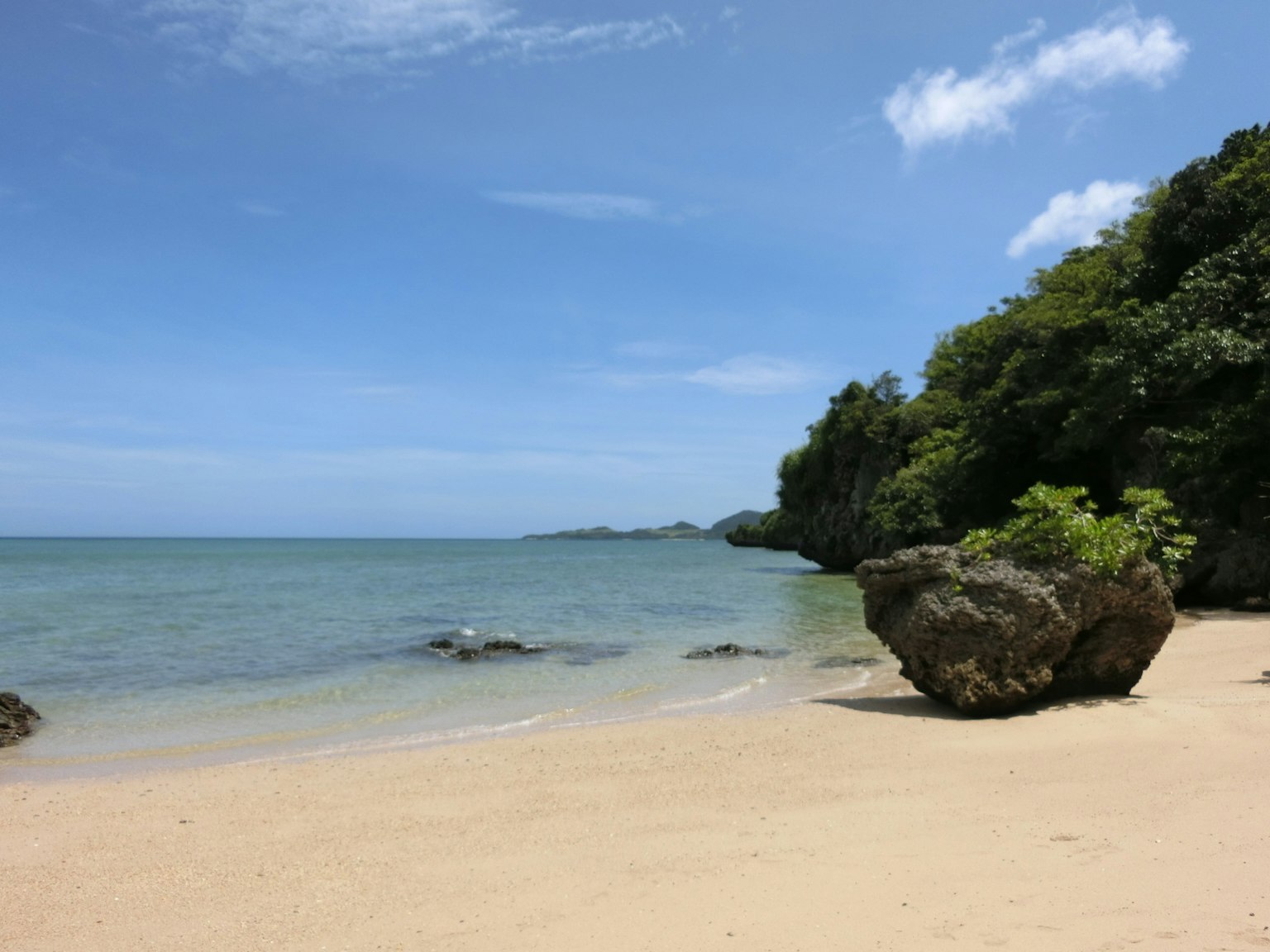 Pemandangan pantai dengan laut biru dan tepi pasir pohon hijau di latar belakang