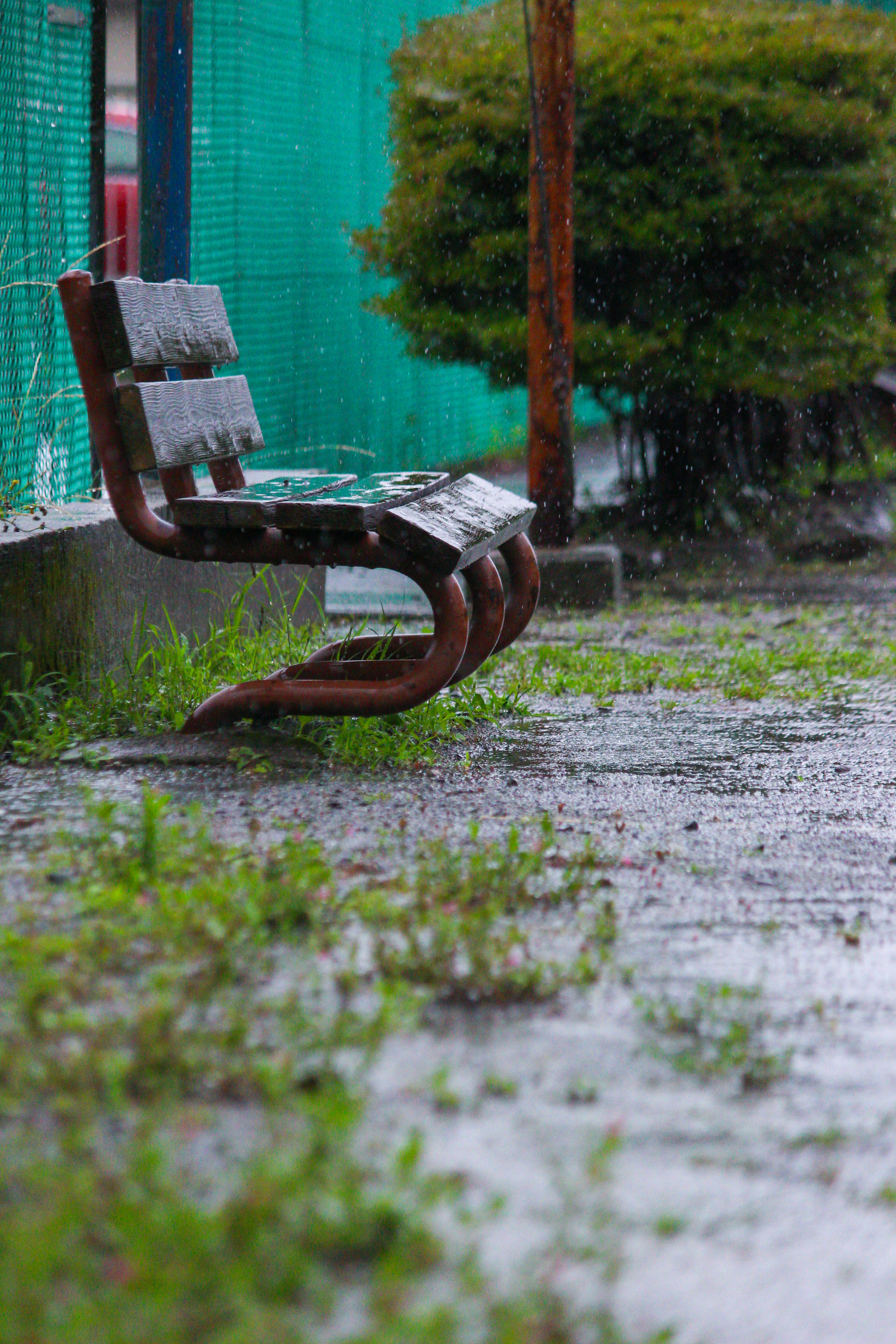 雨の公園で濡れたベンチと芝生の足元
