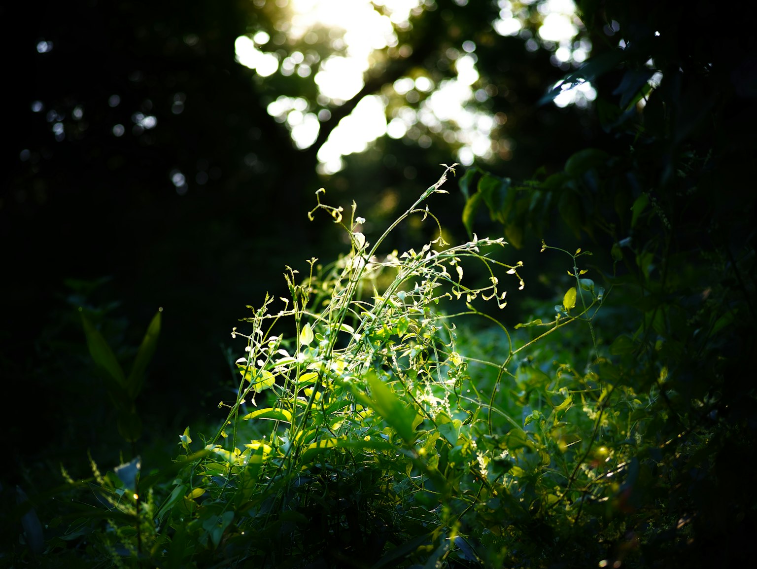 photo-RIg0BsWDsHyMa5BmtuwO-image