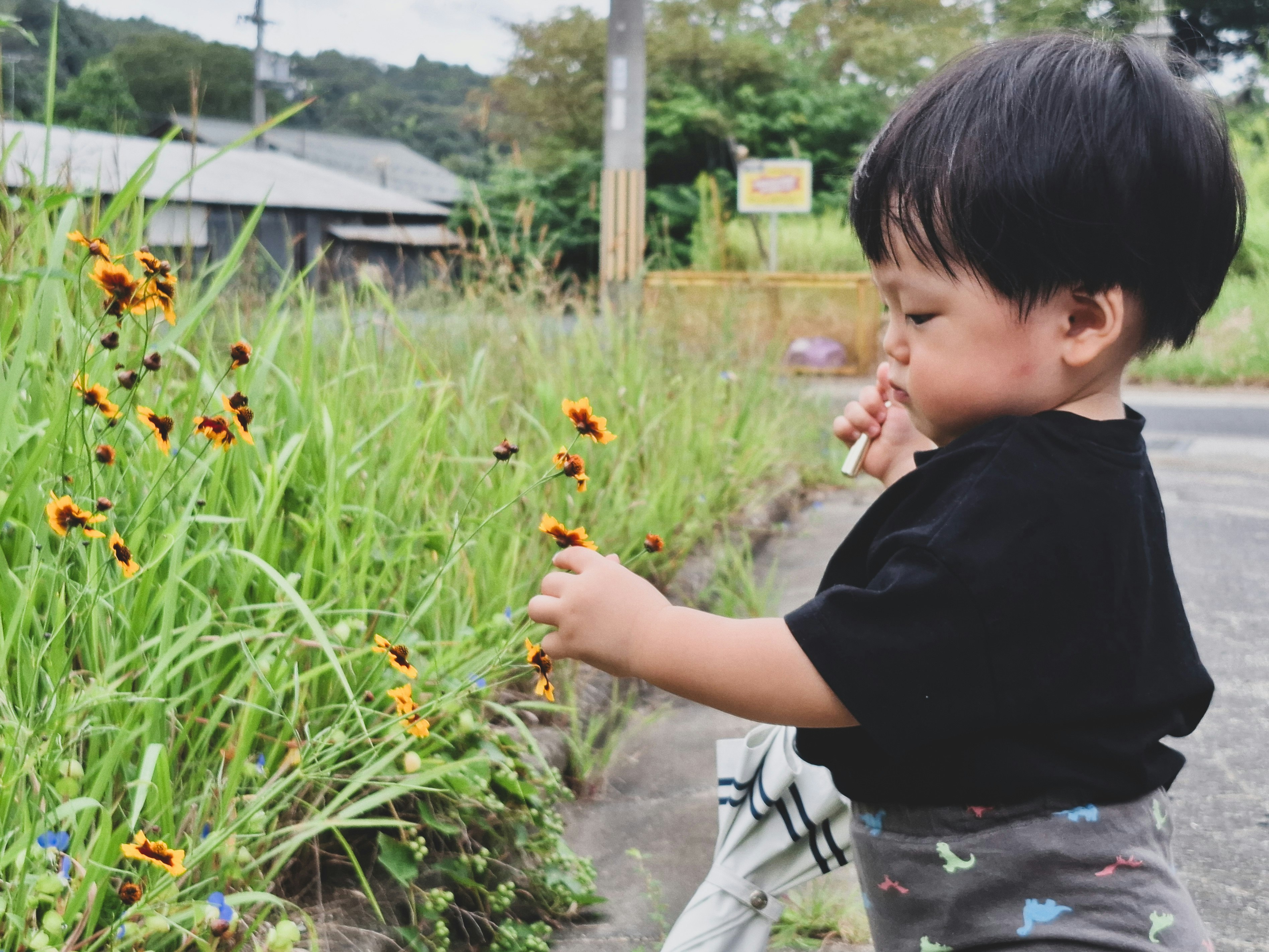 side profile of a child smelling wildflowers along a garden path