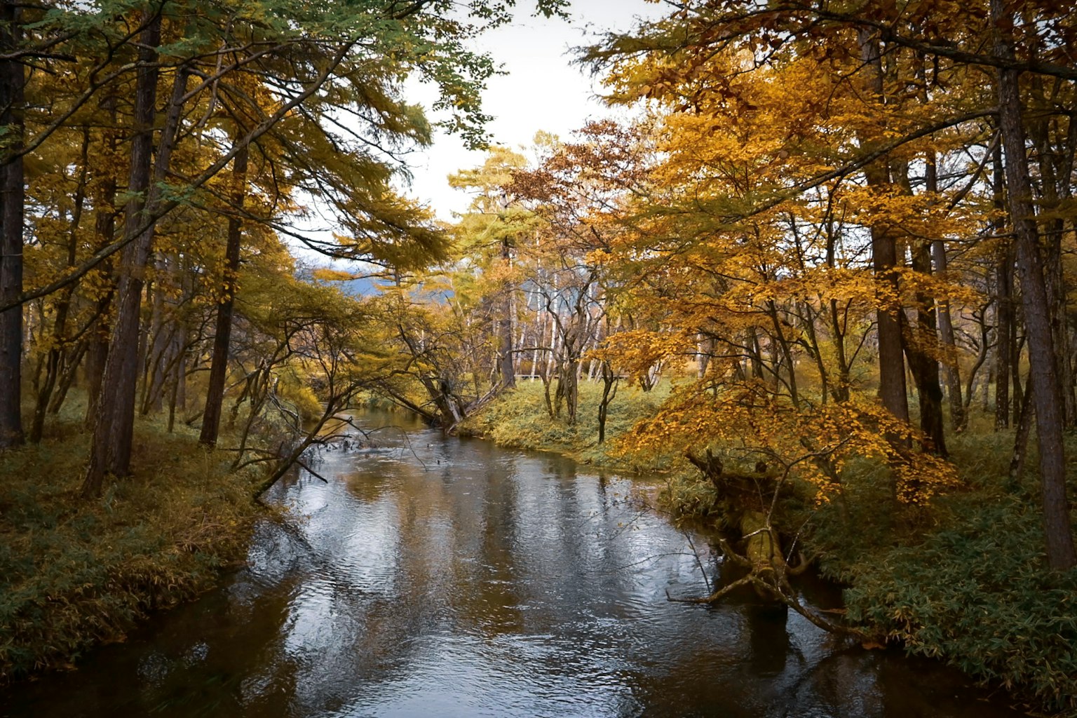 Un paysage de rivière sereine avec des feuillages d'automne se reflétant sur l'eau