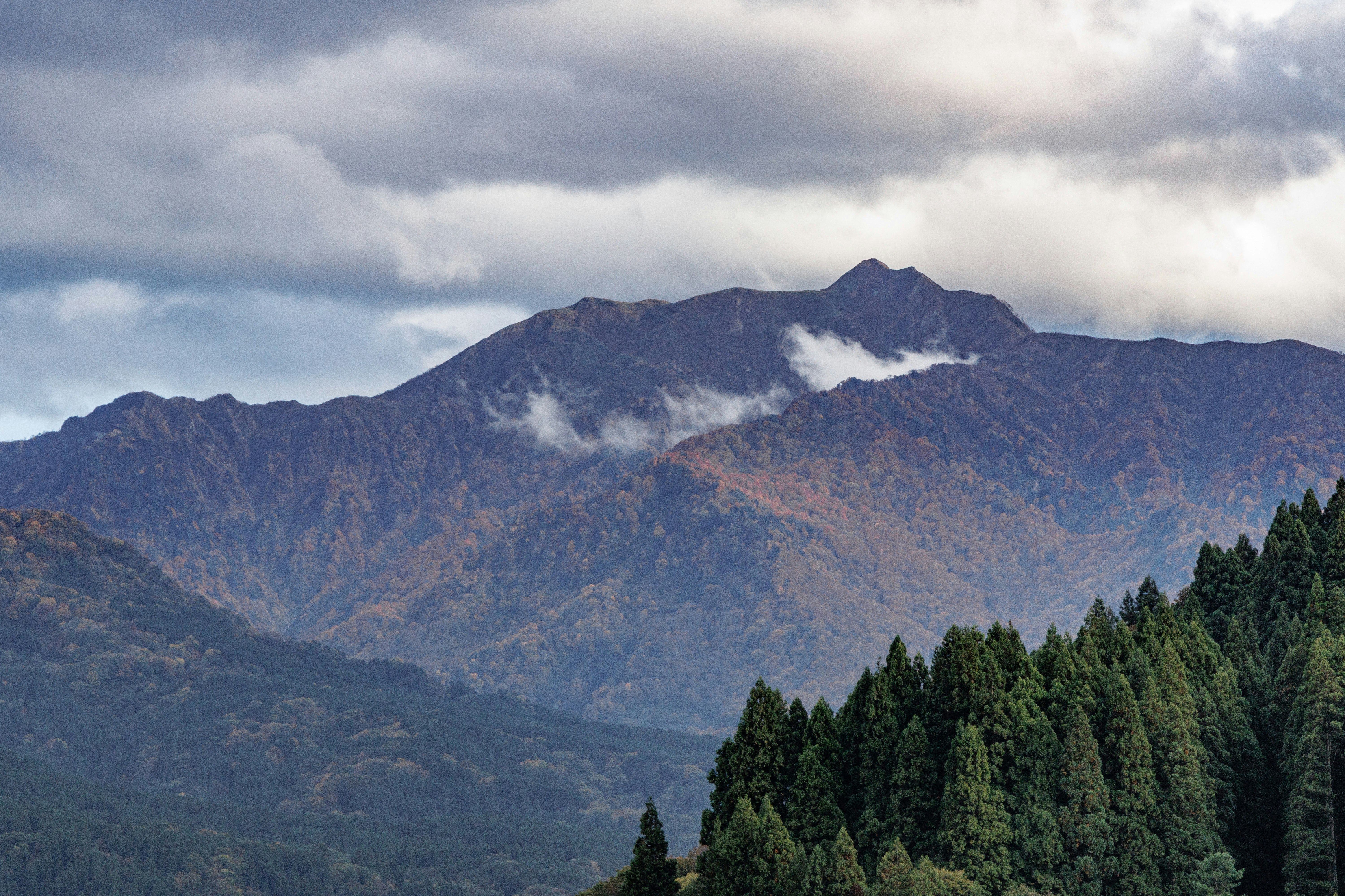 遠眺雨飾山的層疊山巒與針葉林