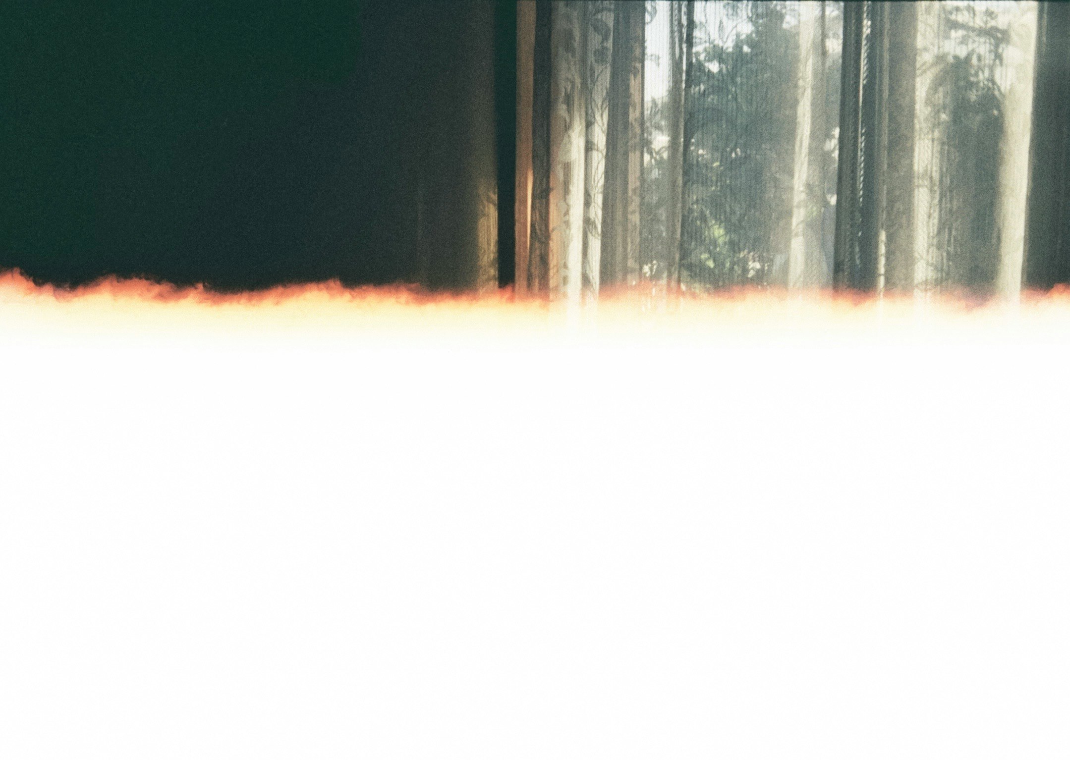 霧の森の木々と光の差し込む幻想的な空間