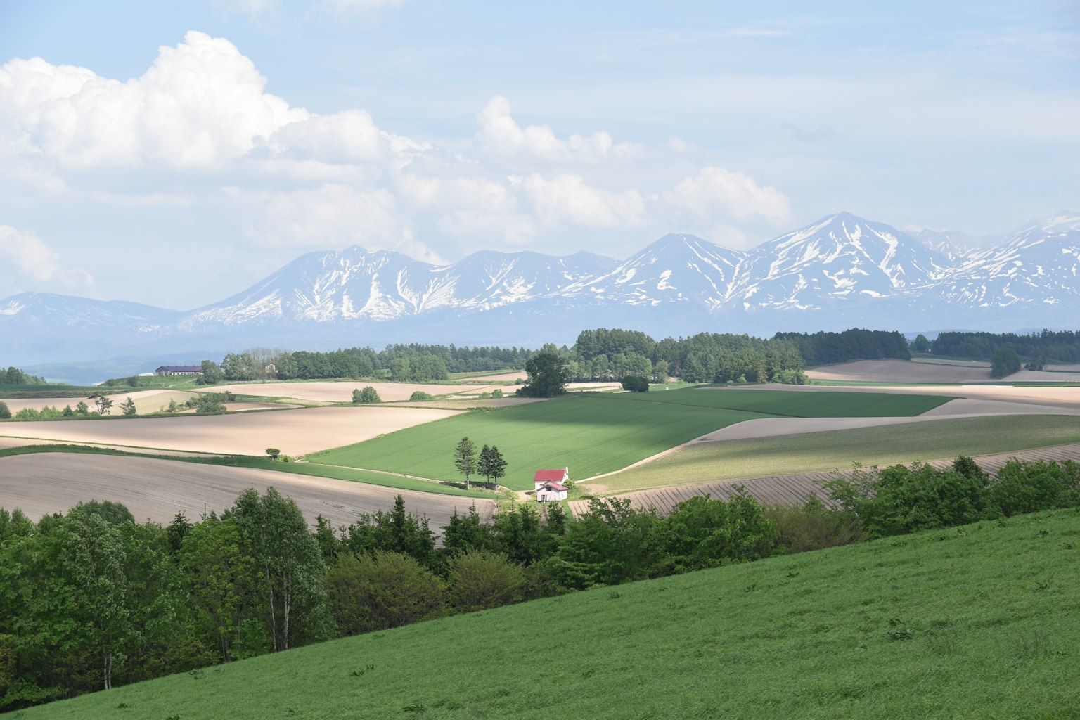 Vista panoramica di campi verdi con montagne innevate sullo sfondo