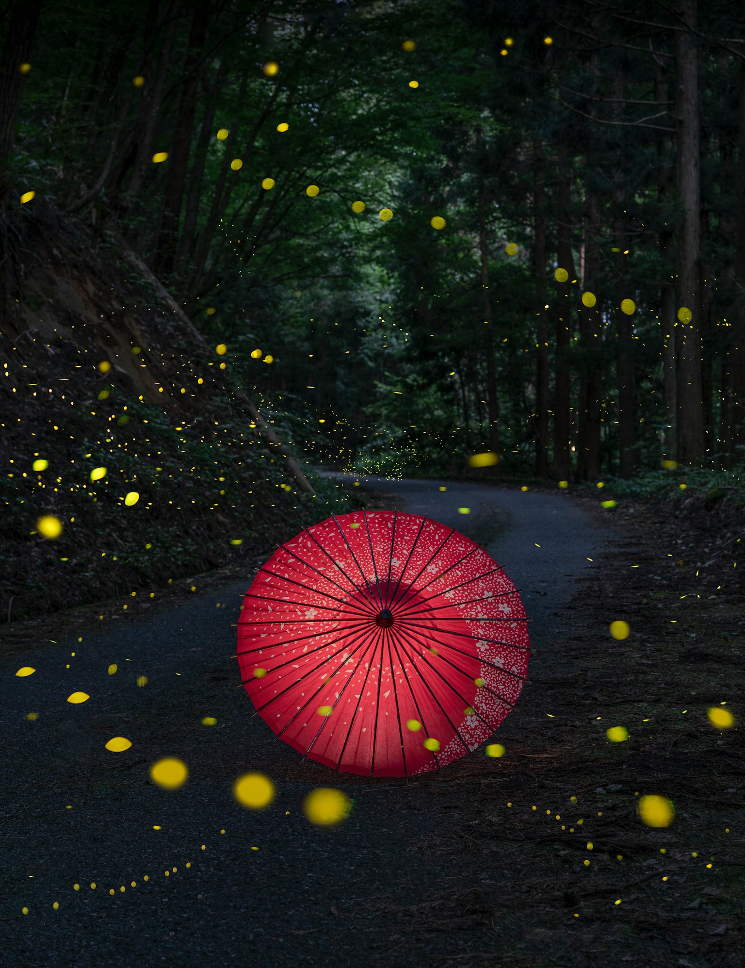 Una linterna roja en un camino oscuro del bosque rodeada de luciérnagas brillantes