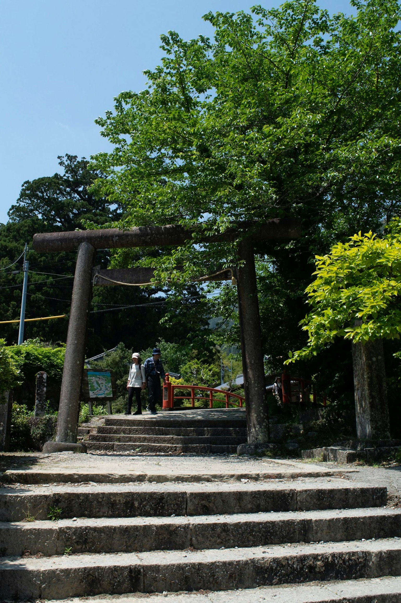 Serene shrine view with a torii gate and stone steps