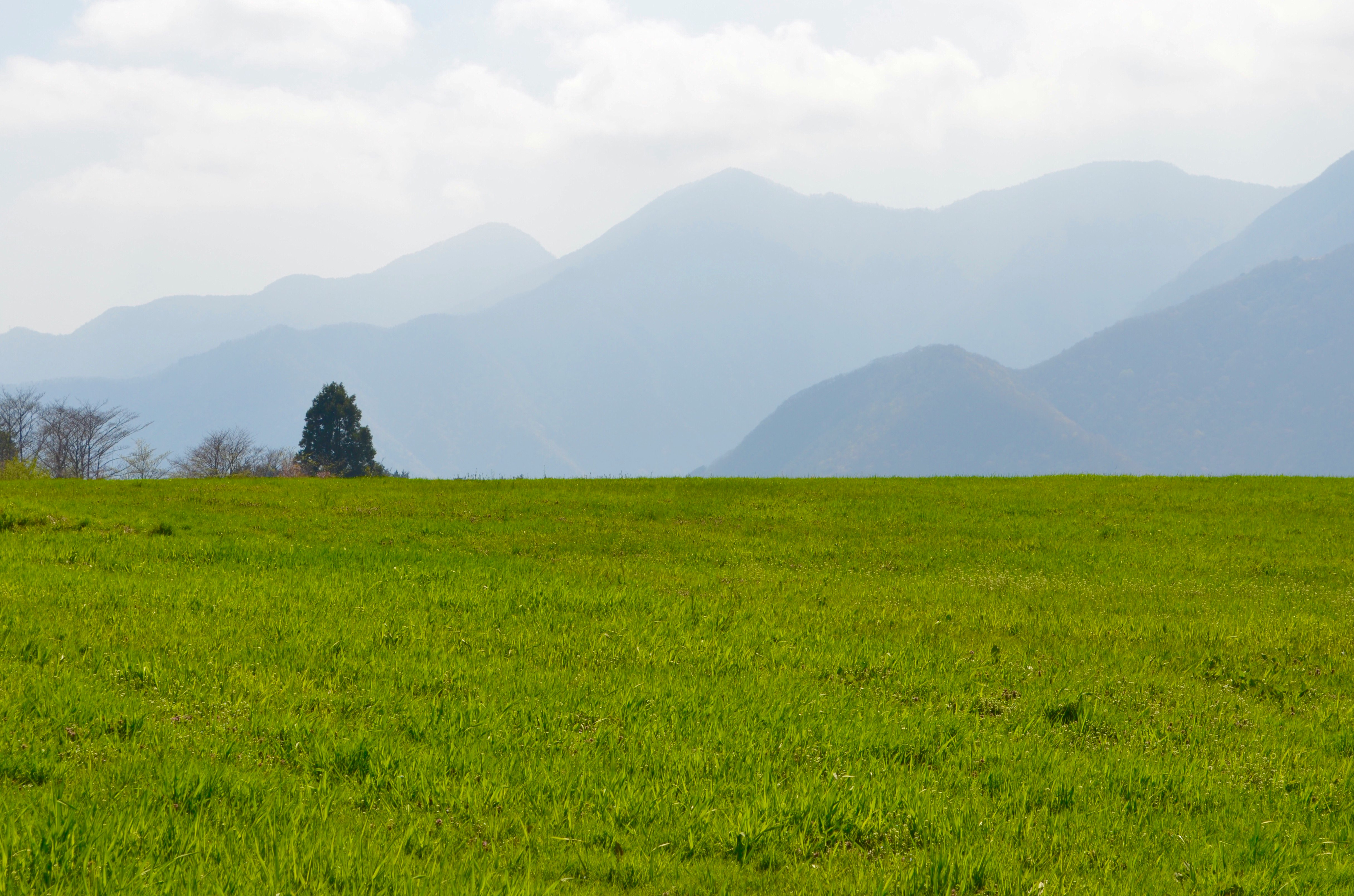 緑の草原と山並みが広がる風景
