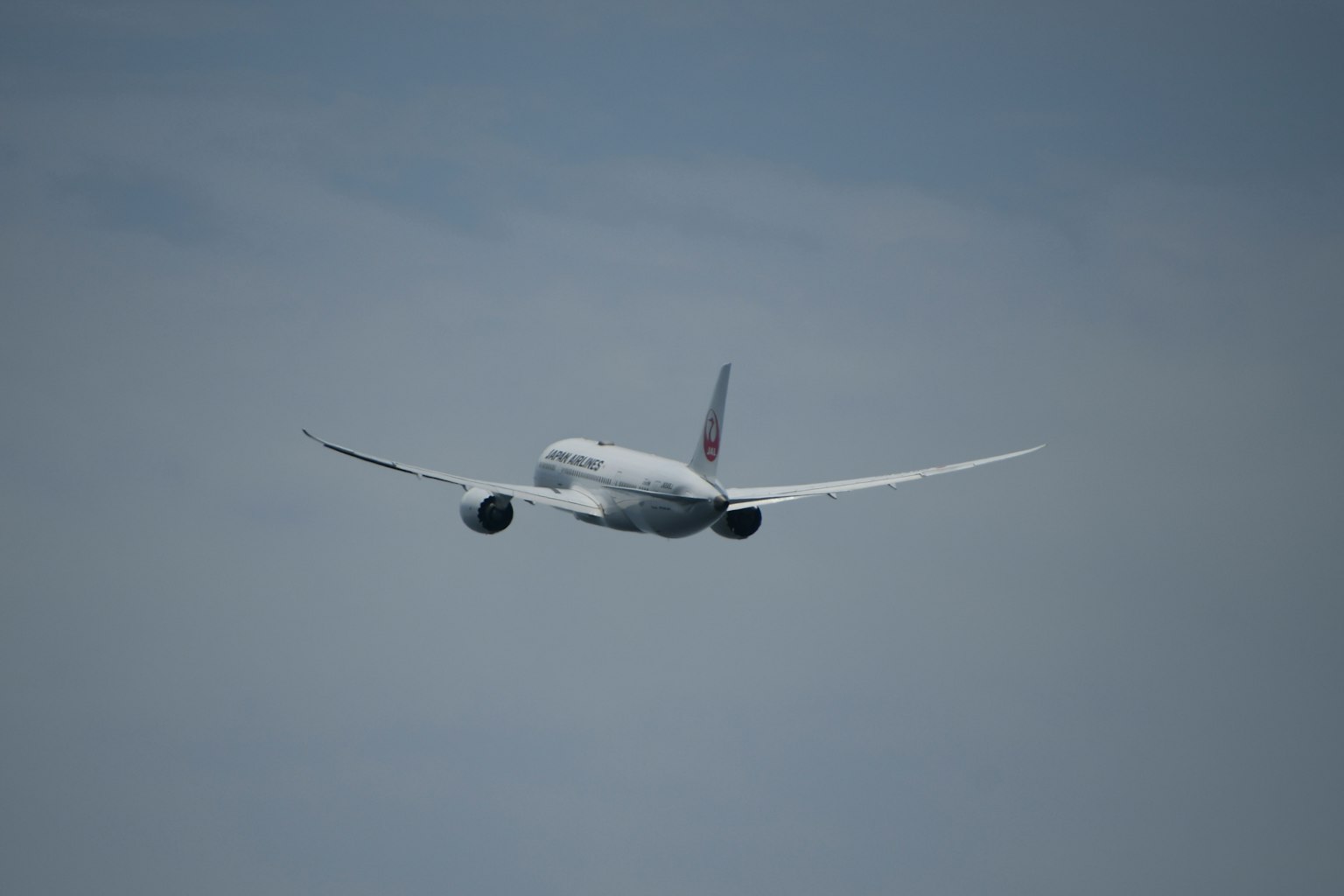 白色客机从后面飞行在天空中