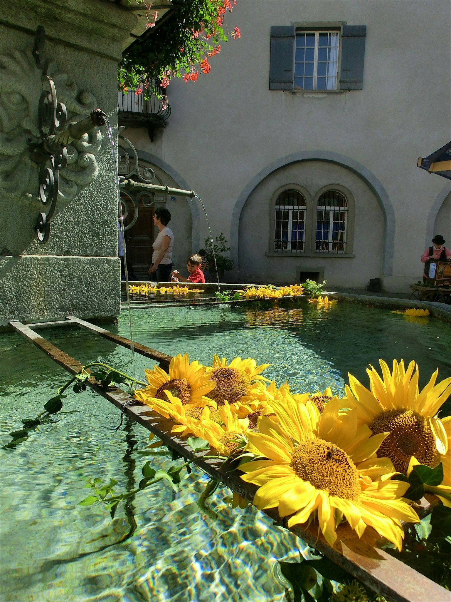 Un joli cour avec des tournesols flottant à la surface de l'eau d'une fontaine