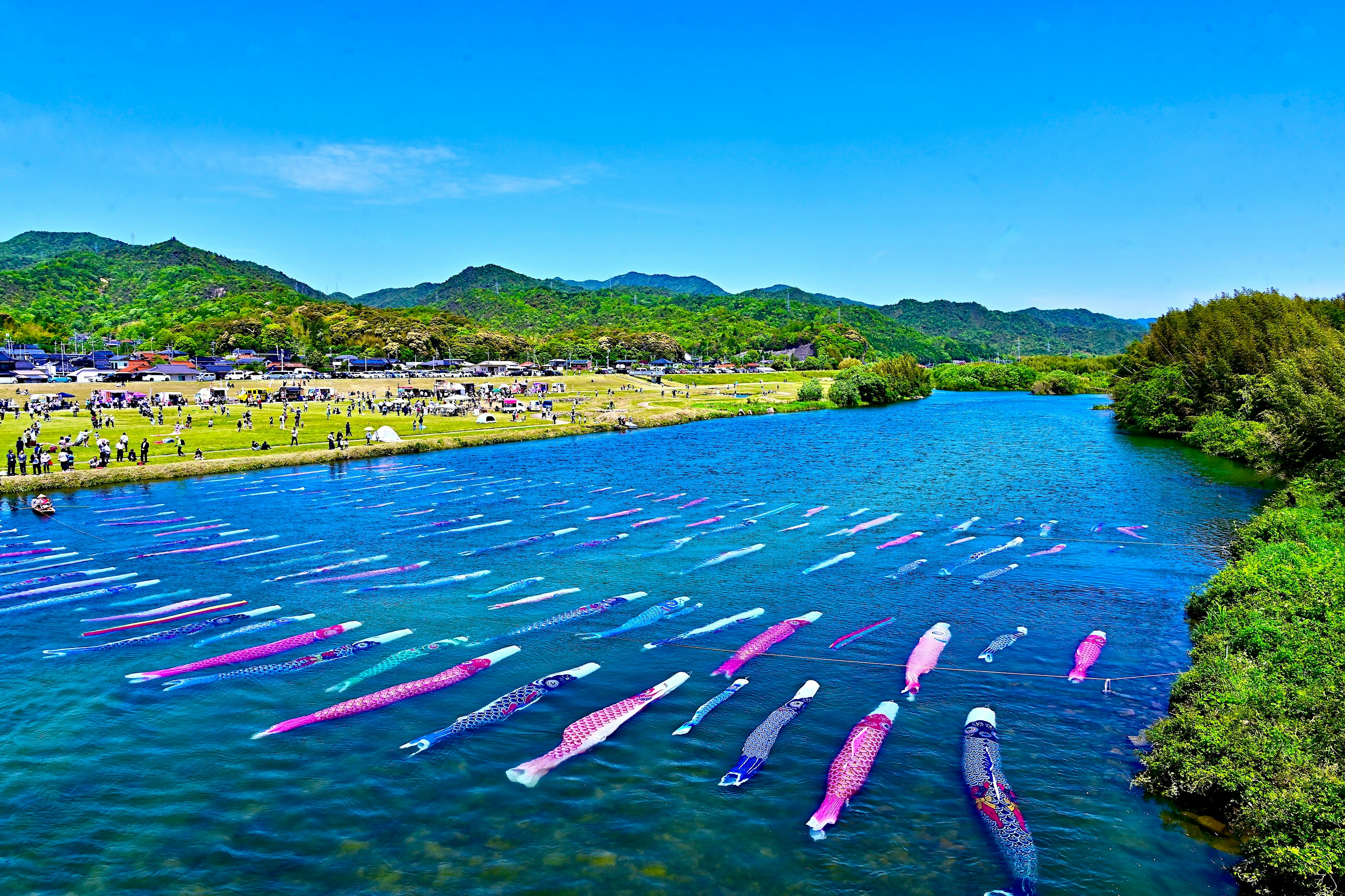川沿いの芝生に並ぶボートとカラフルなカヤックの群れ