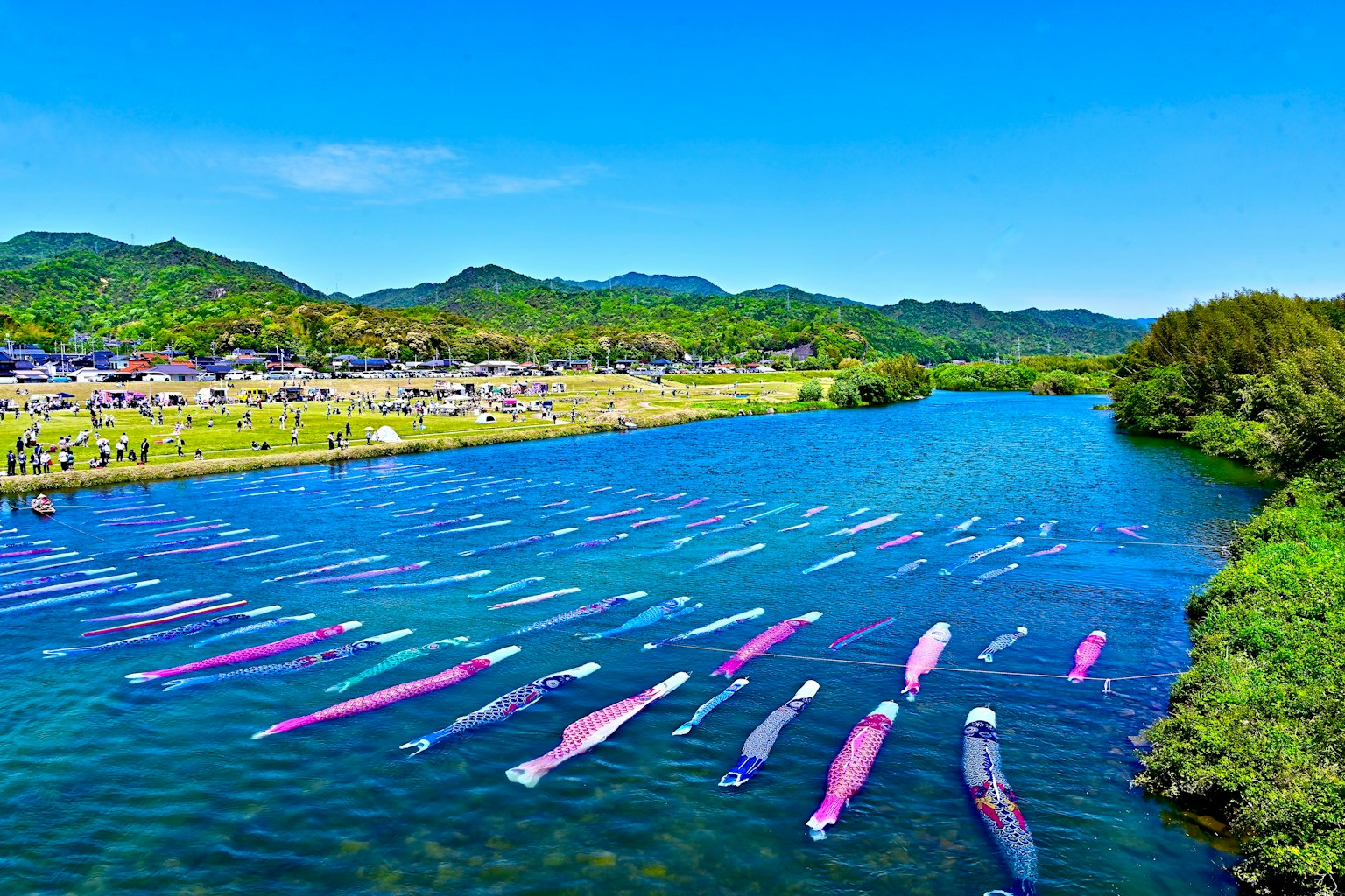 蓝天之下，五彩斑斓的船只漂浮在河上，周围是郁郁葱葱的绿树