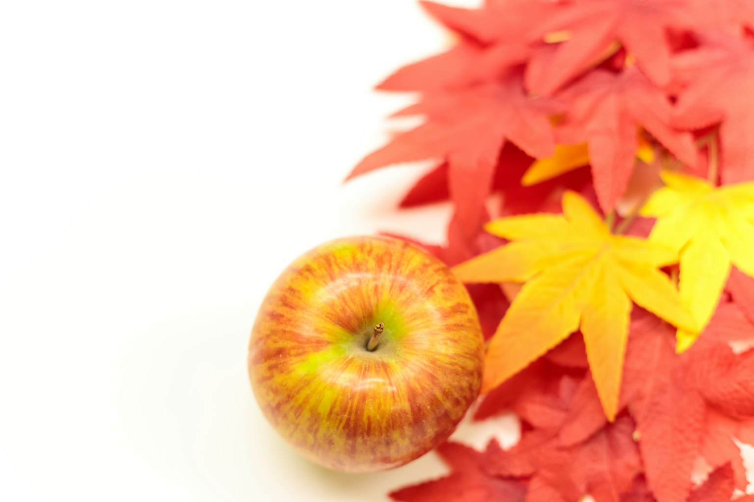 Une pomme sur des feuilles d'automne rouges et jaunes