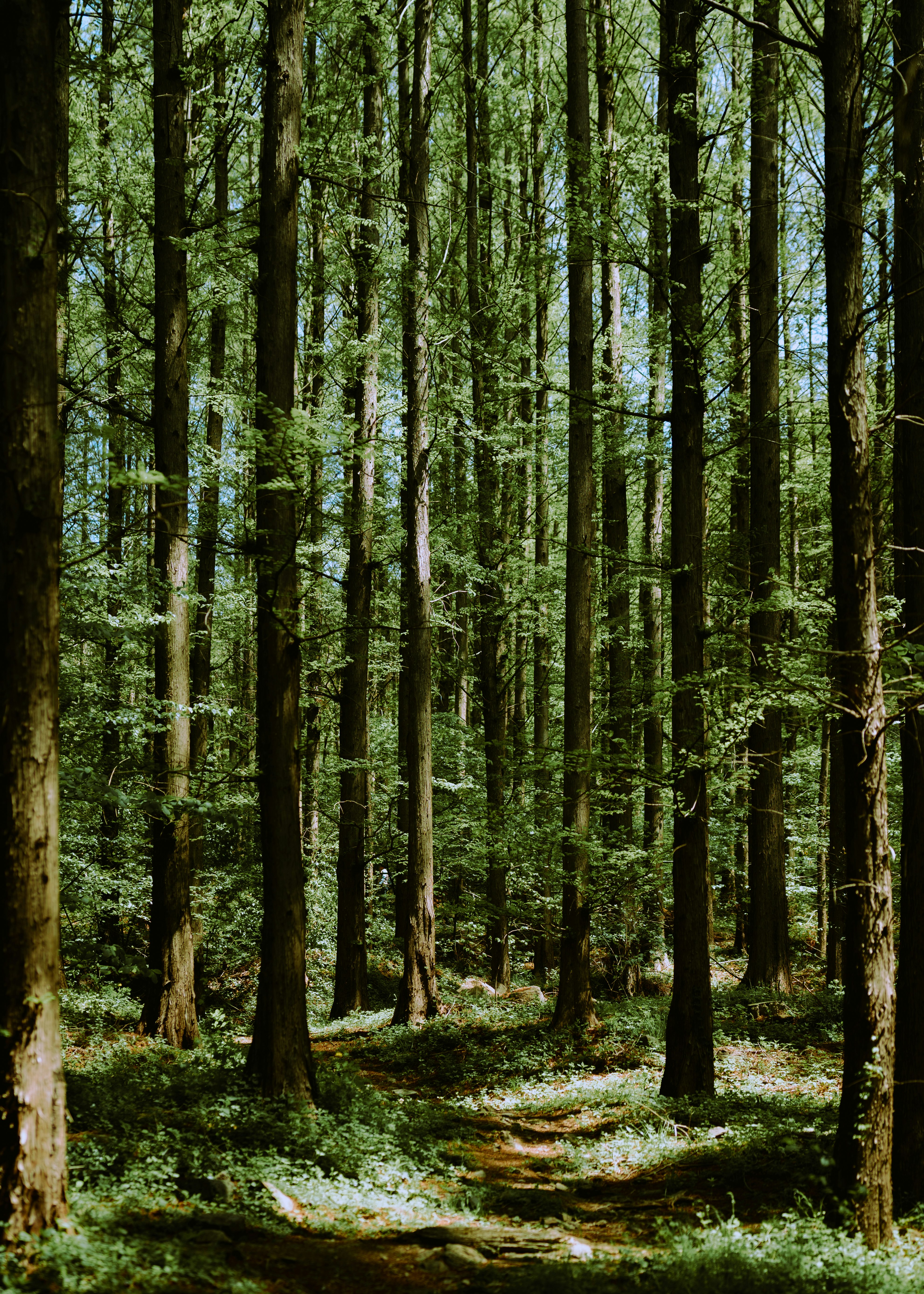 photo-RPZOfxETVBagUJNQySXc-image