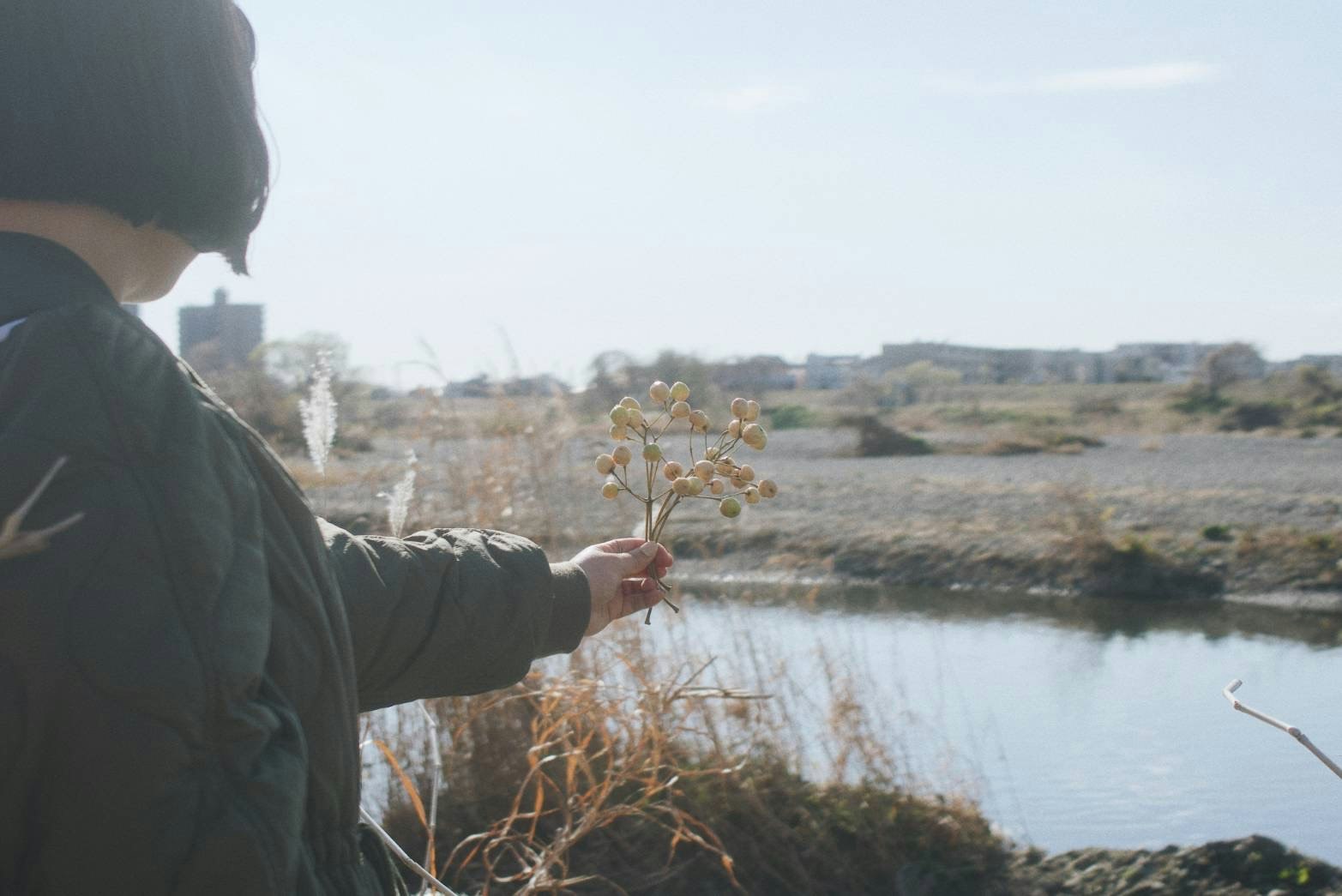 A person reaching toward small flowers by a riverbank