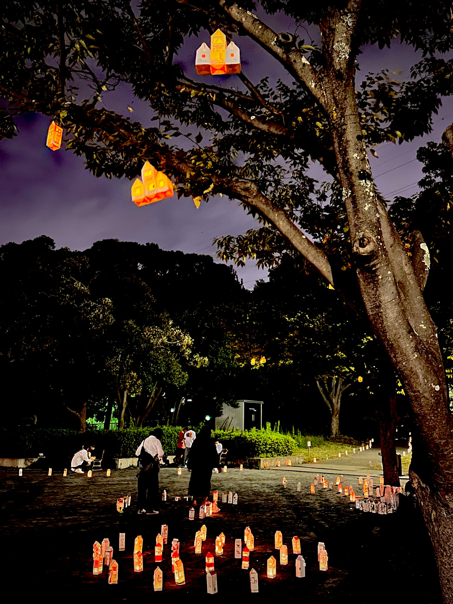 Persone che si riuniscono in un parco con candele sotto il cielo notturno
