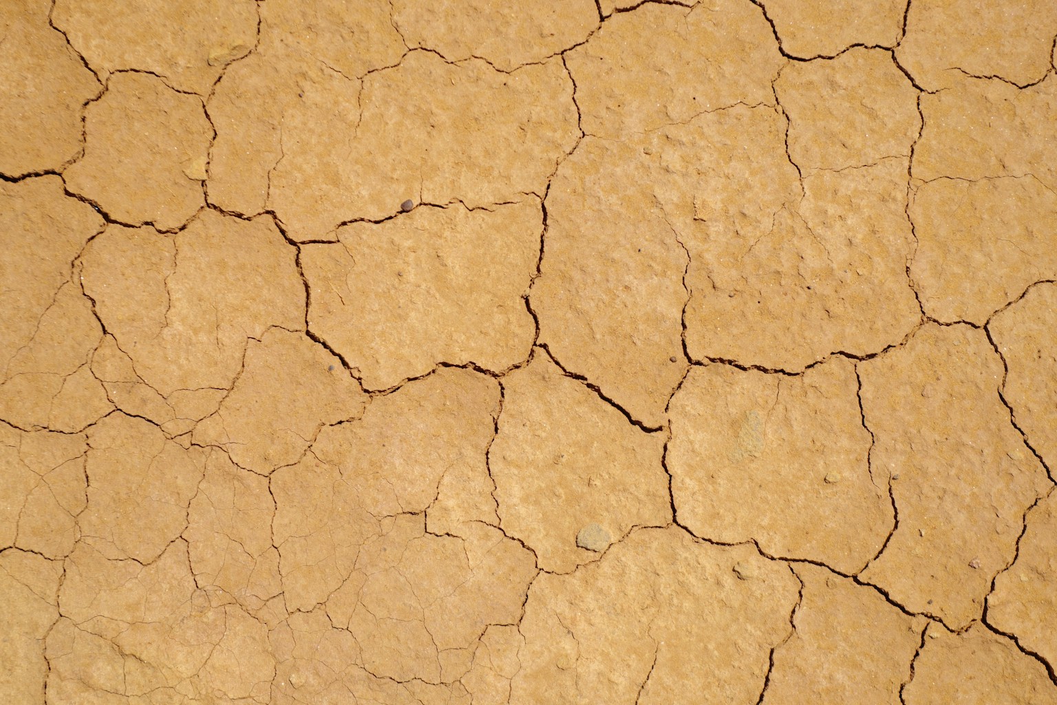 photo-RQqPtQdxs8QI5vA9BANz-image