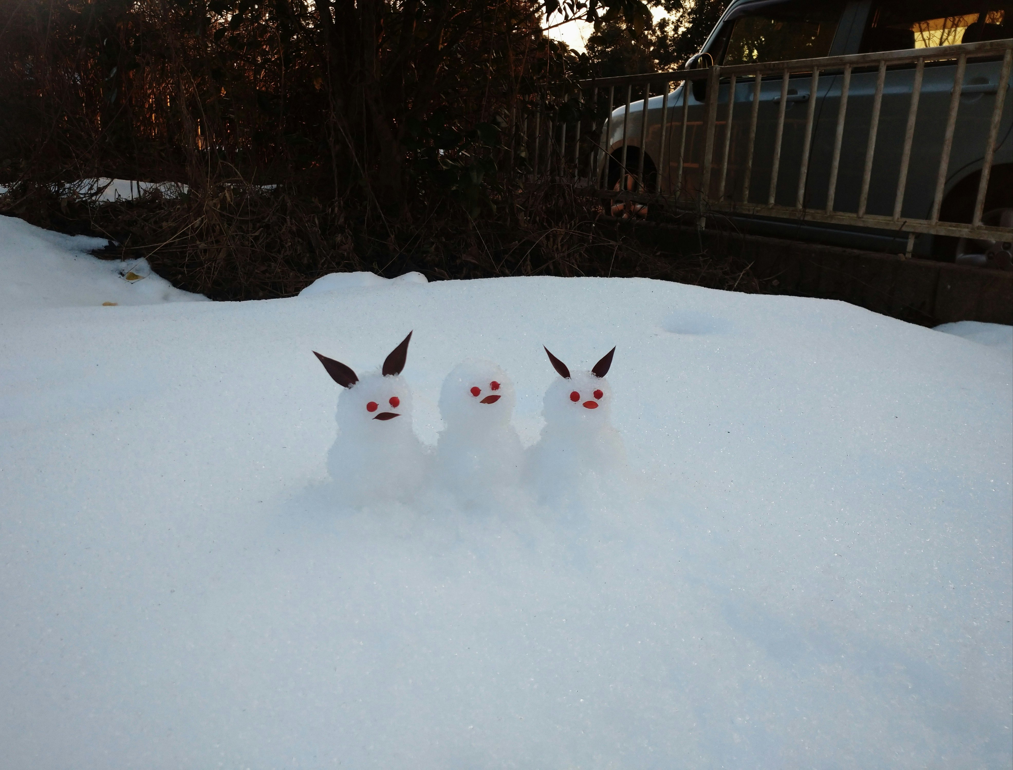雪だるまの顔が並ぶ雪原の庭先