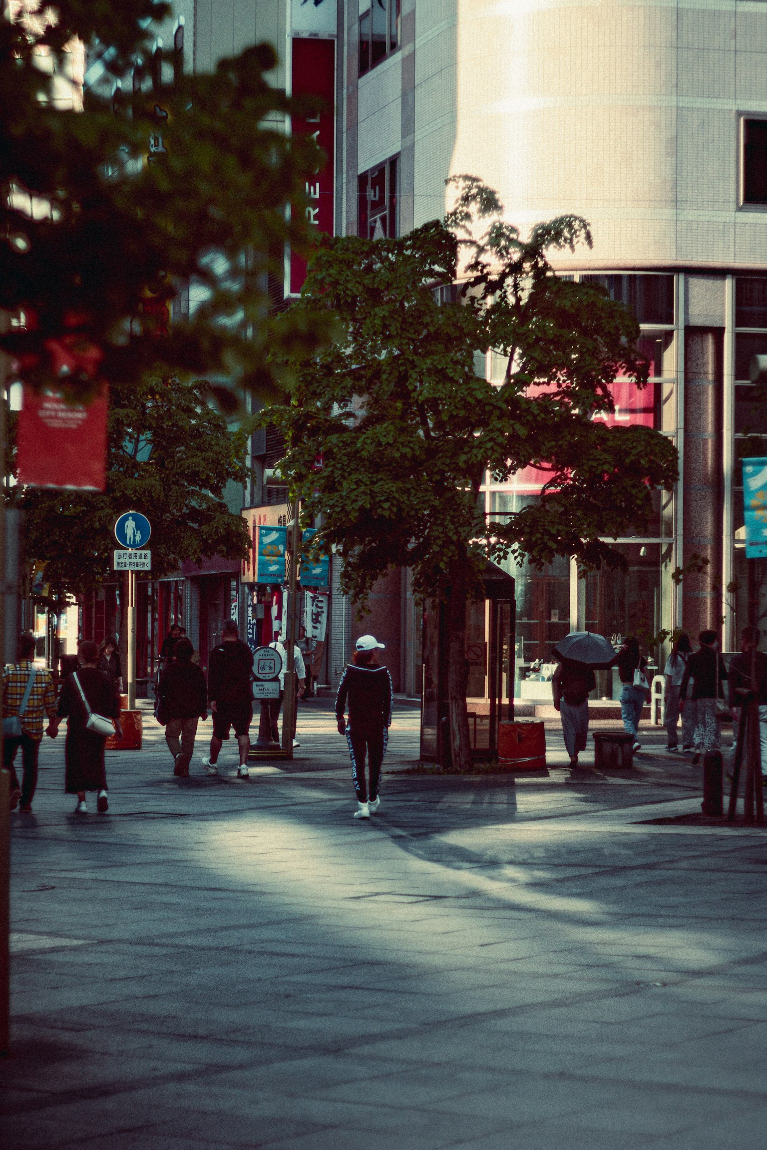 城市景观人们走动树木和建筑在背景
