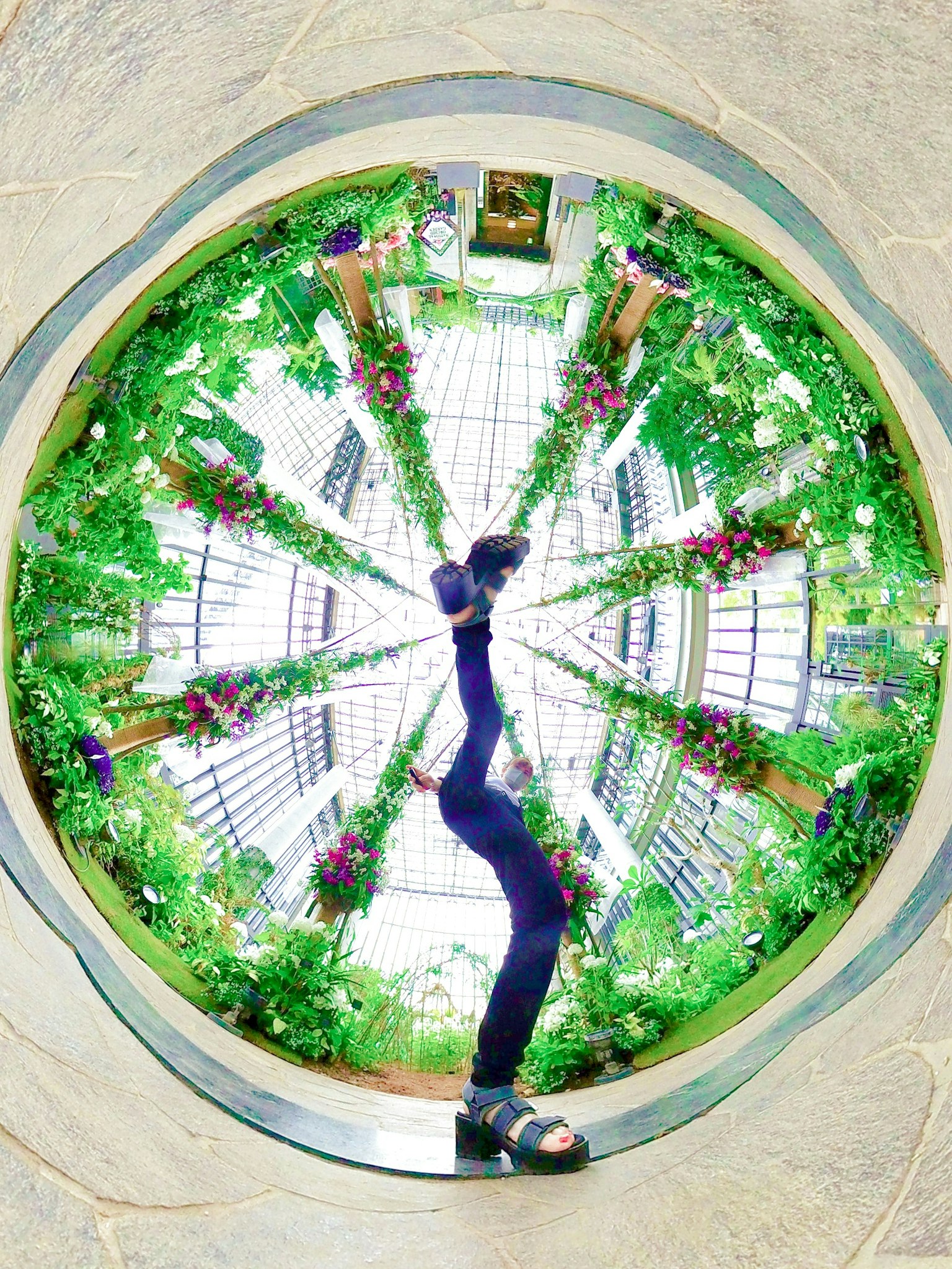 Une personne se tenant dans un cadre en verre circulaire entouré de verdure luxuriante