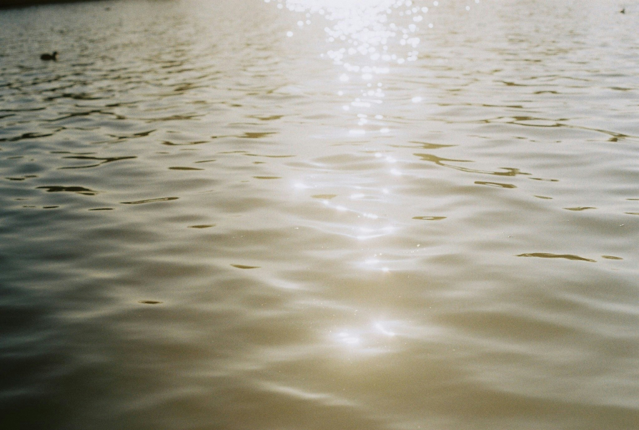 Sonnenreflexe auf ruhiger Wasseroberfläche