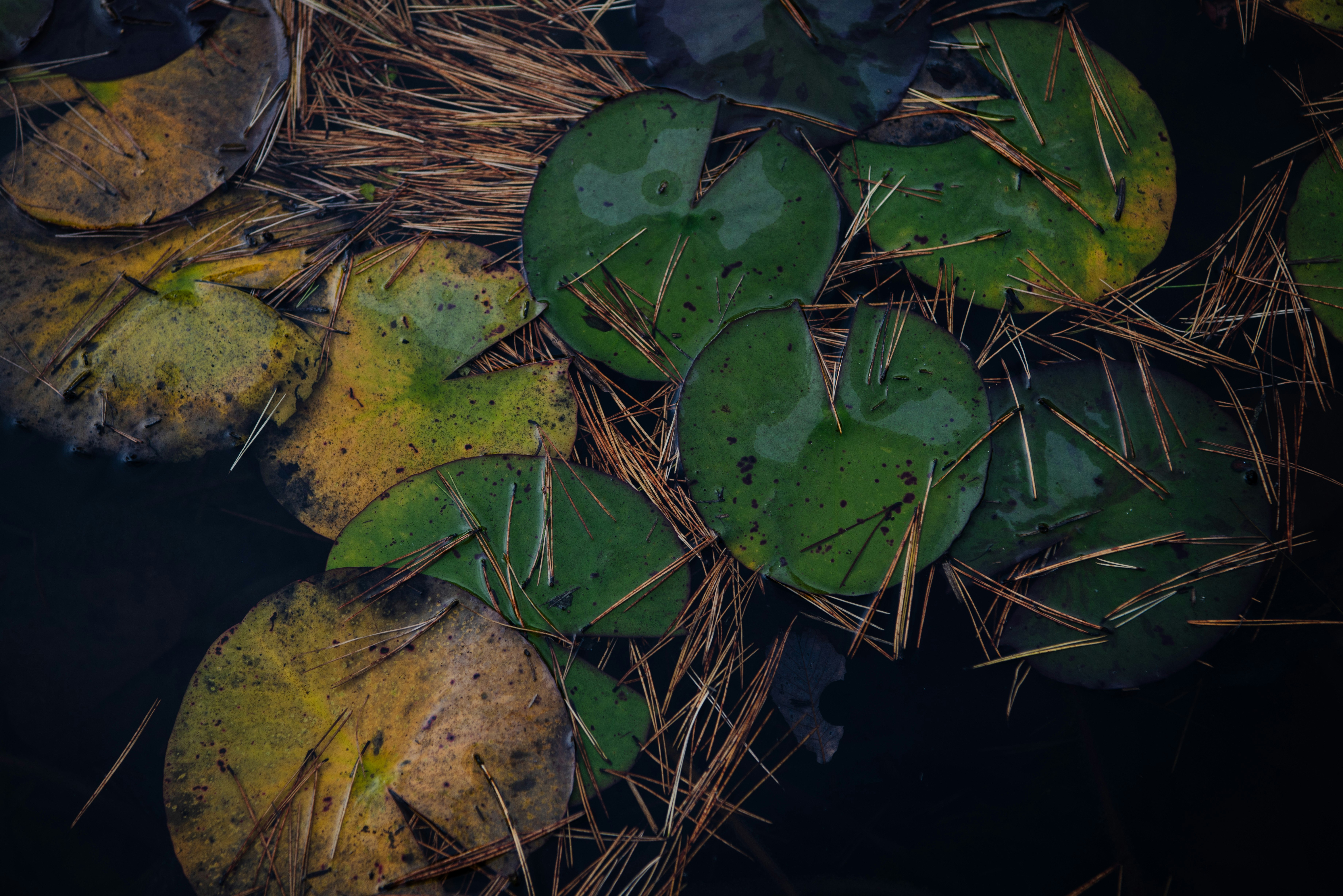 photo-RSAYSUClHb4Pil0U5m2P-image