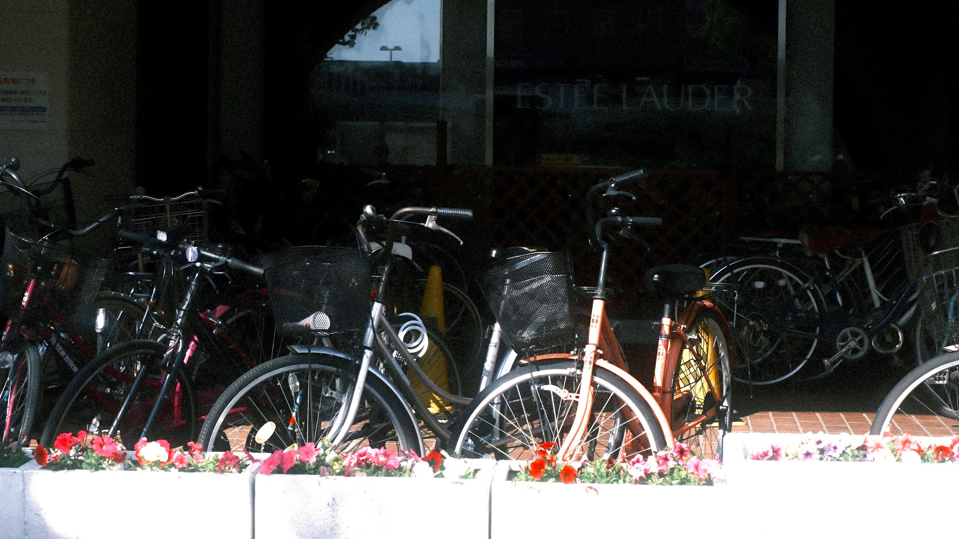 花のプランターの前に並ぶ自転車のある路地の軒先