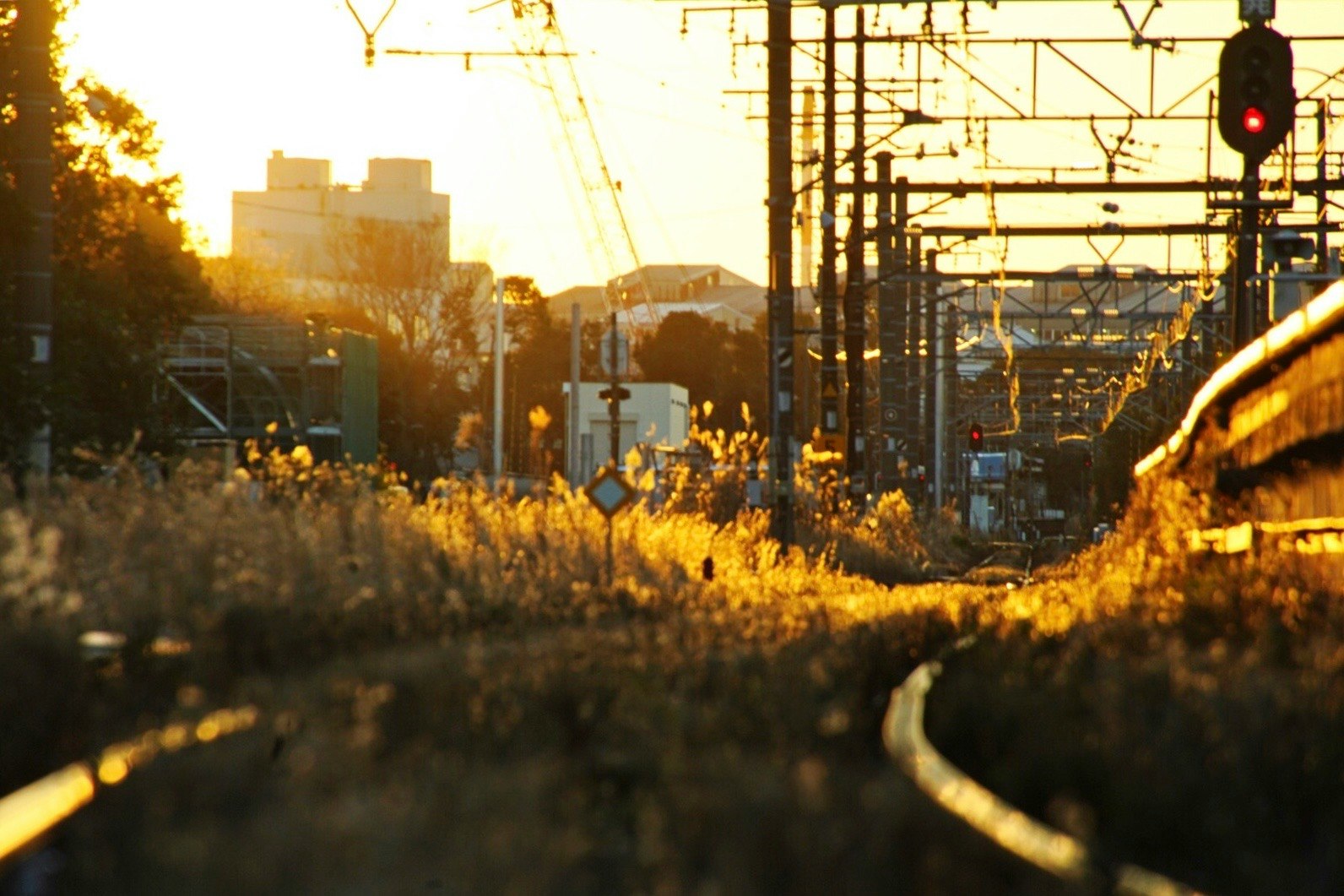 train tracks beside a city street at sunset
