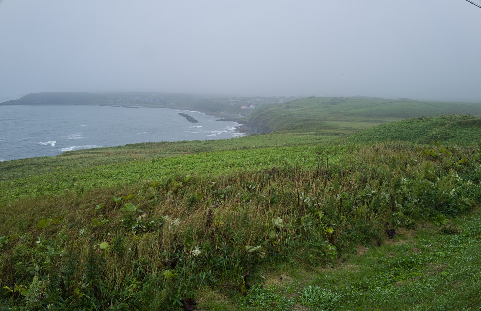 霧氣籠罩的海岸景觀與綠色草原和海洋