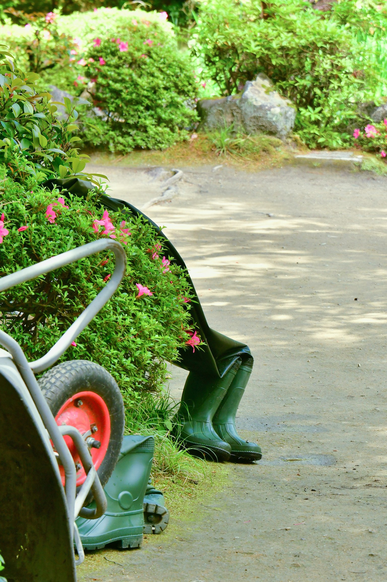 花園場景，綠色手推車和盛開的花朵